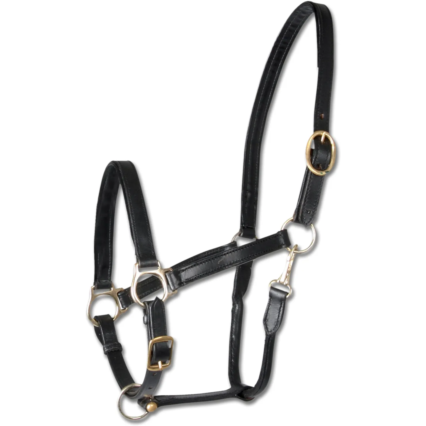 Halfter ROBUST Leder schwarz