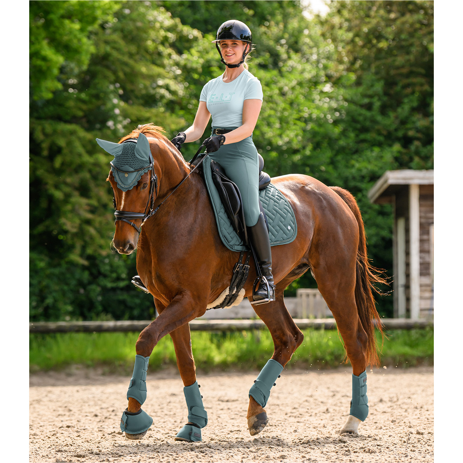 Damen Reitleggings Silikon Vollbesatz ELLA piniengrün