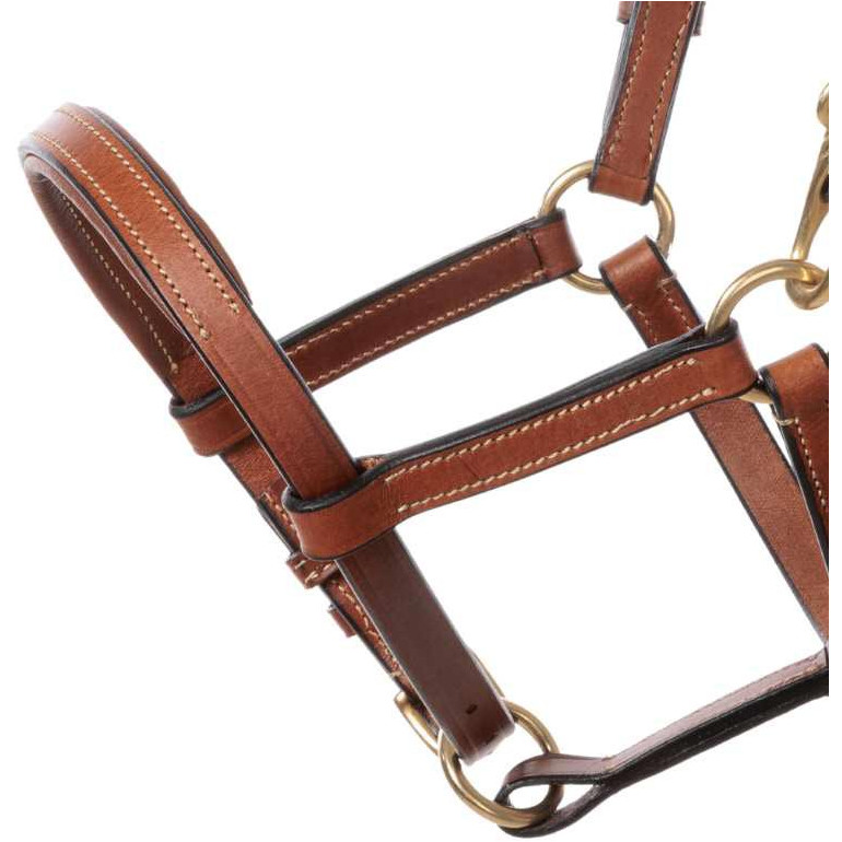 Fohlenhalfter Leder cognac/messing