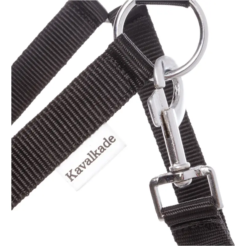 Halfter SIMPLE schwarz