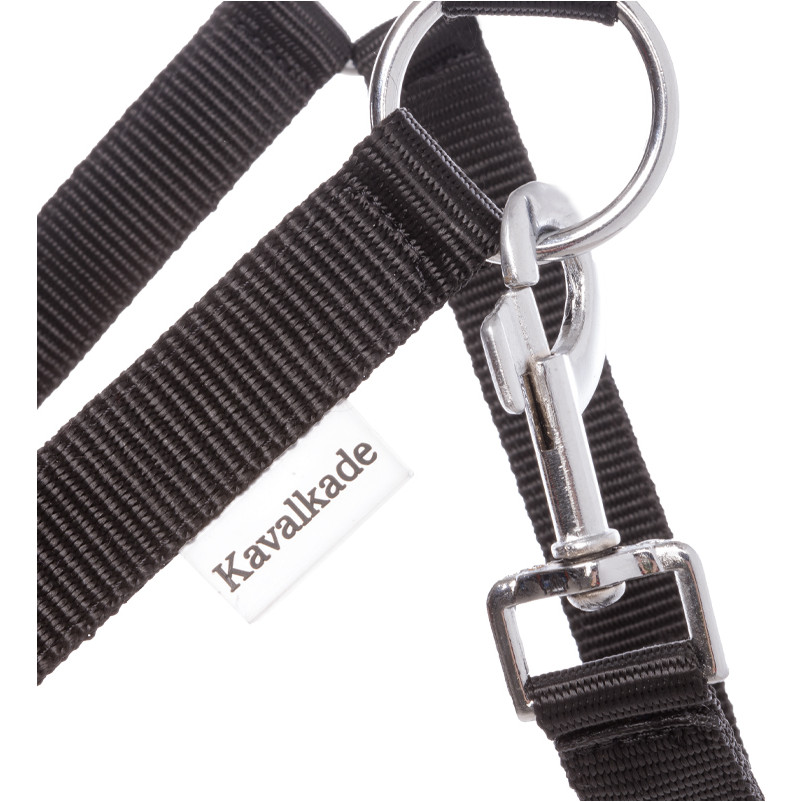 Halfter SIMPLE schwarz