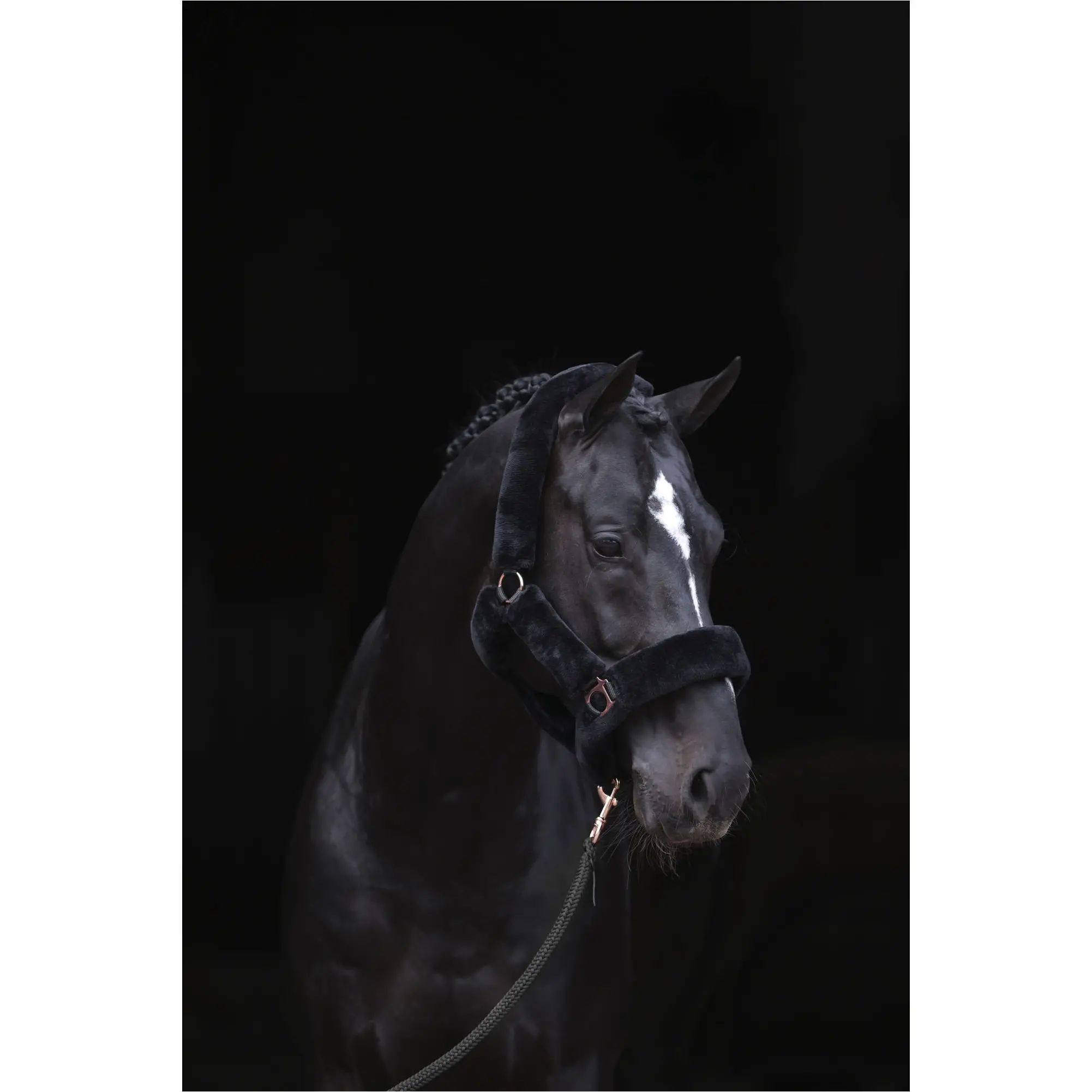 Halfter SUPERSOFT black Halfter SUPERSOFT black