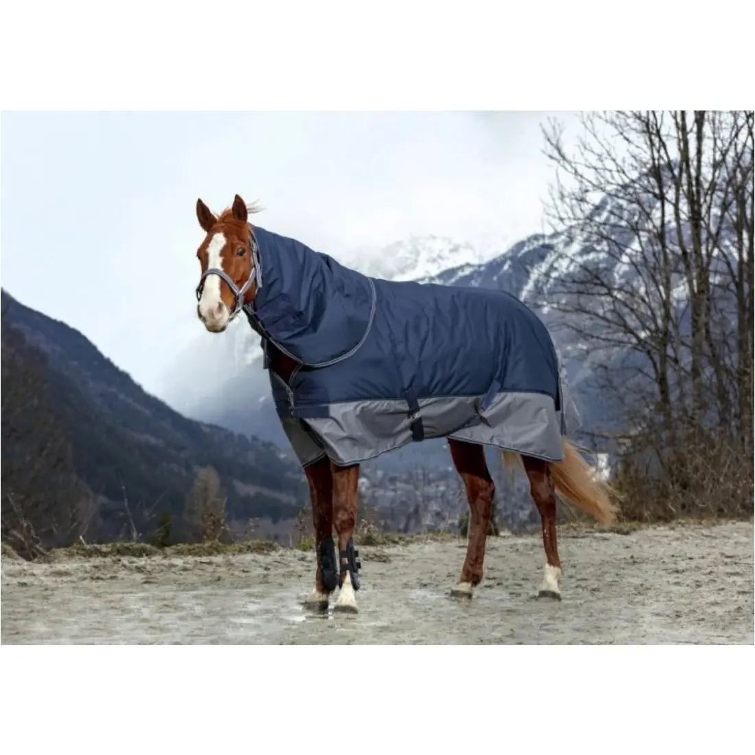 Winterdecke 450g Füllung 600D TYREX marineblau/grau Winterdecke 450g Füllung 600D TYREX marineblau/grau