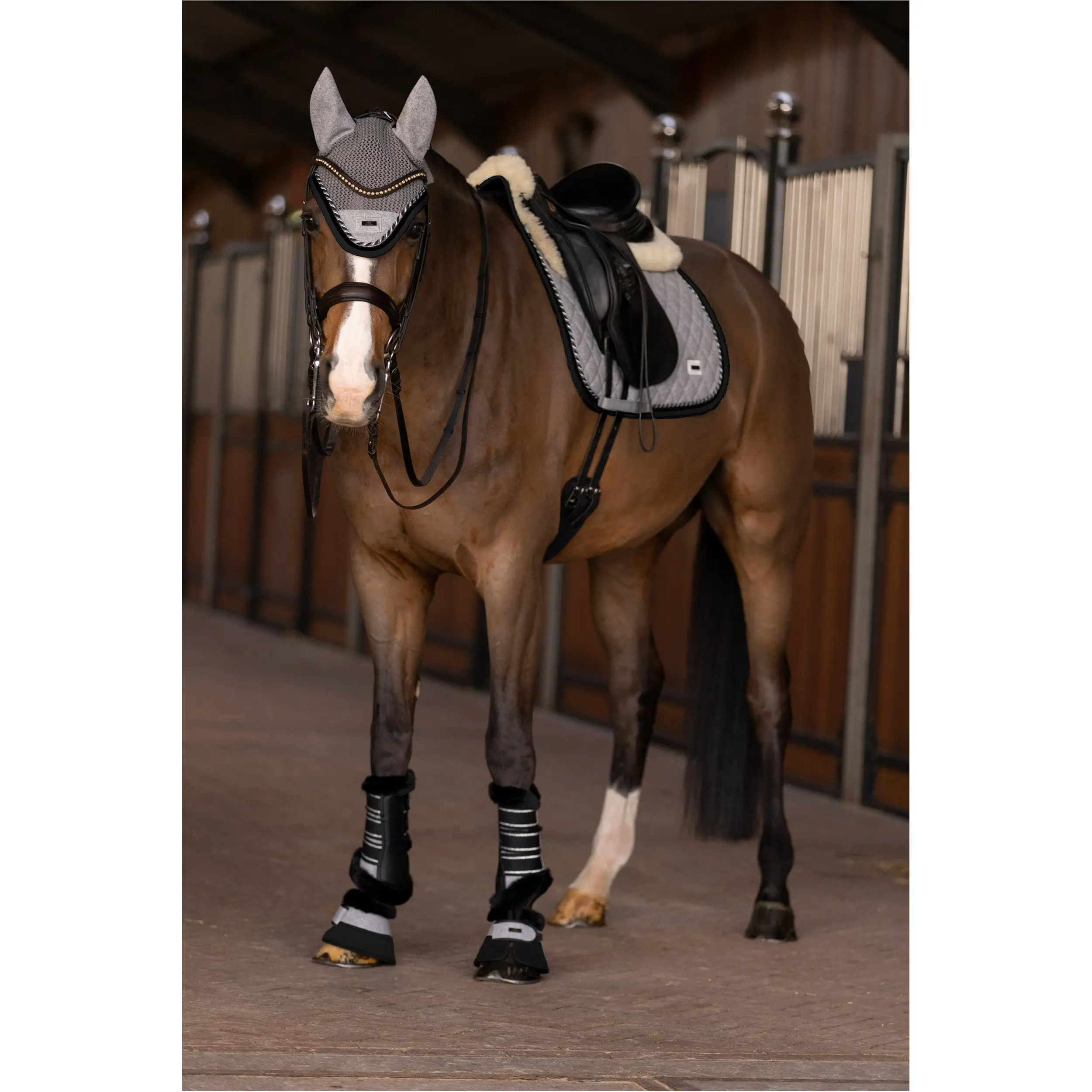 Springglocken HVPFrancis grau Springglocken HVPFrancis grau