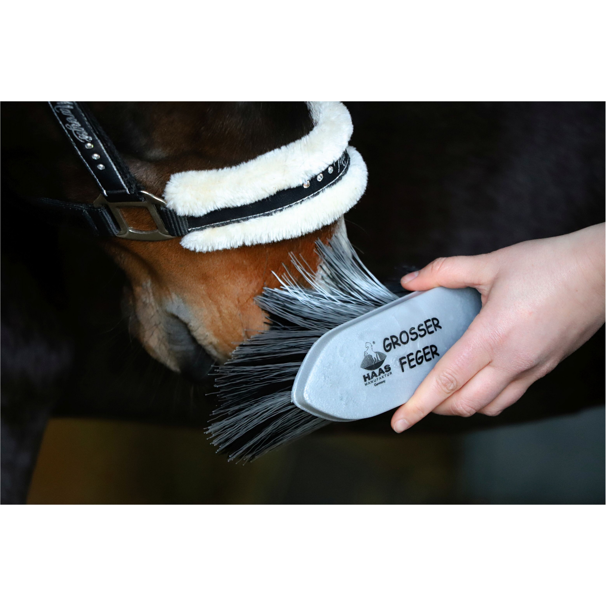 Mähnenbürste groß 8cm GROSSER FEGER silber