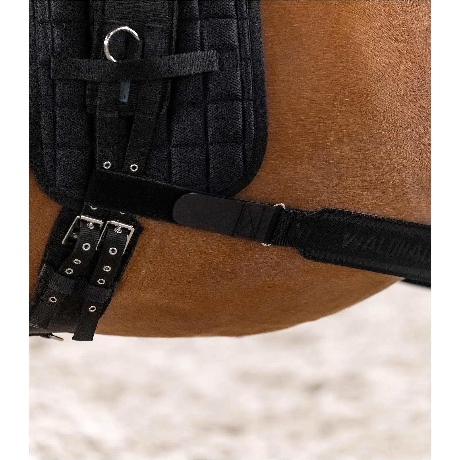 Körperbandage schwarz Vollblut/Warmblut