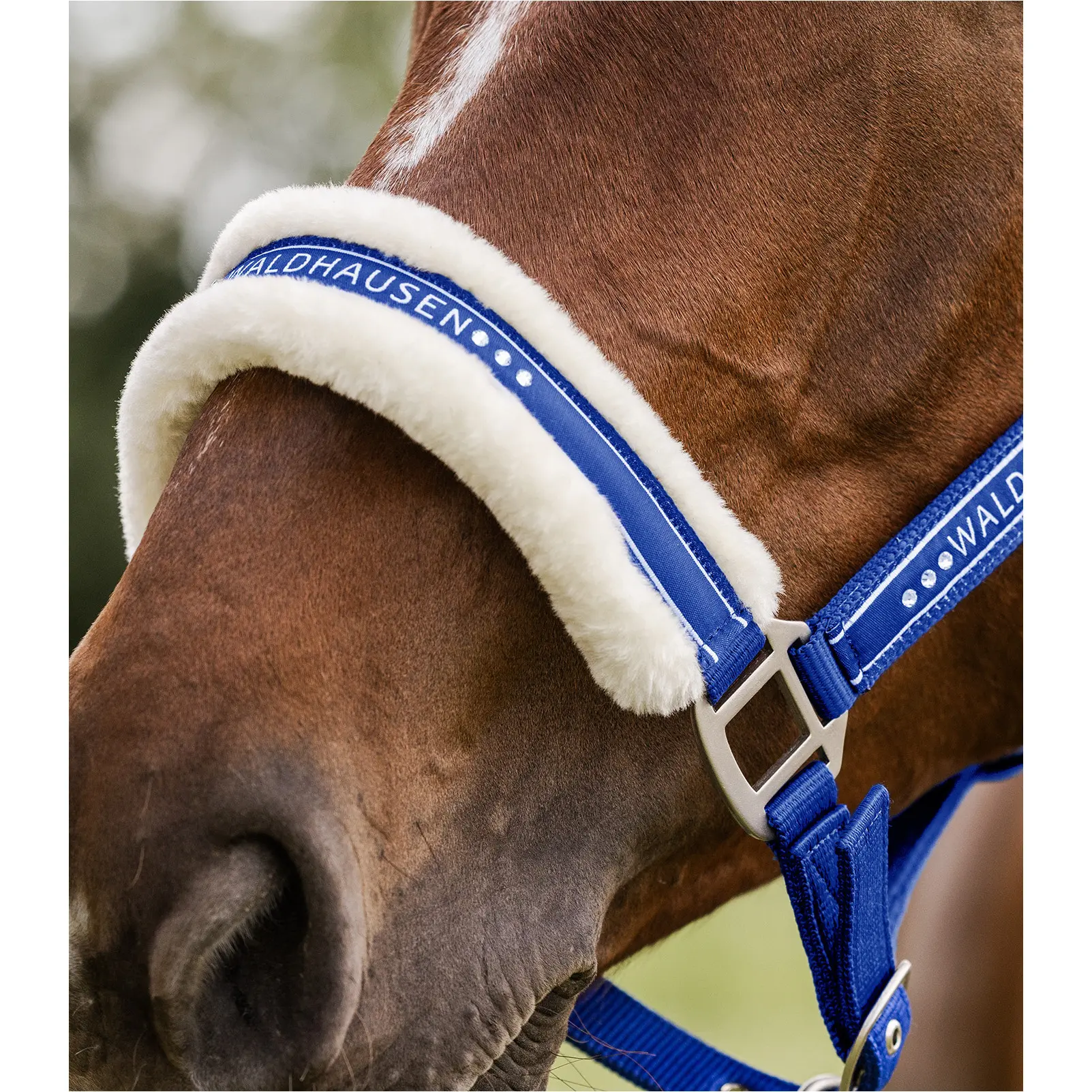Halfter ELEGANT saphirblau