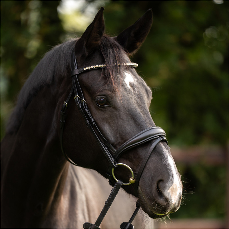 Stirnband SIMPLICITY schwarz/weiß