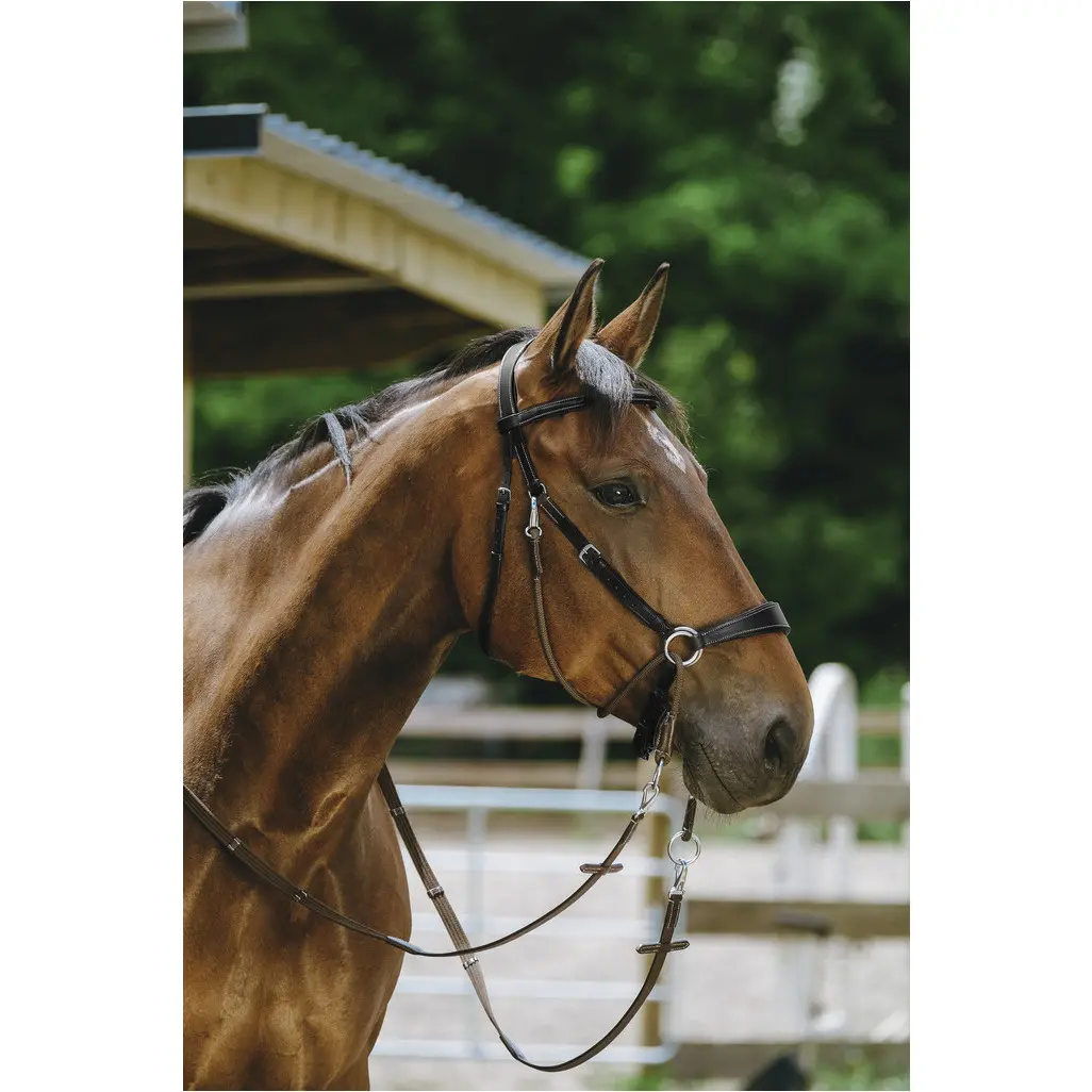 Trensenzaum und Gurtzügel BITLESS Echtleder schwarz