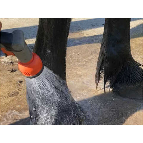 Shampoo Prävention und Pflege TEA TREE 500ml