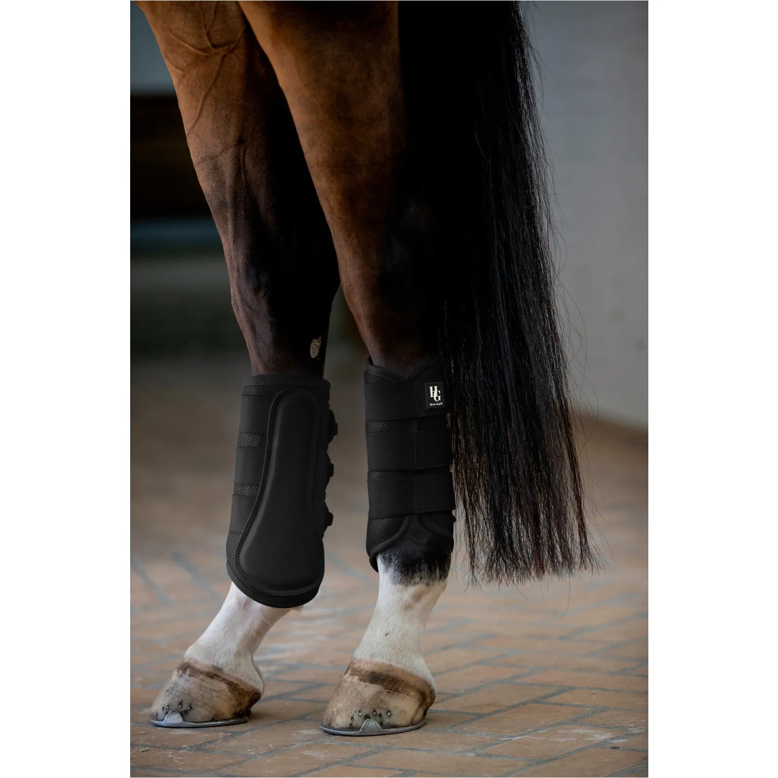 Dressurgamaschen TIMOTHY MESH schwarz