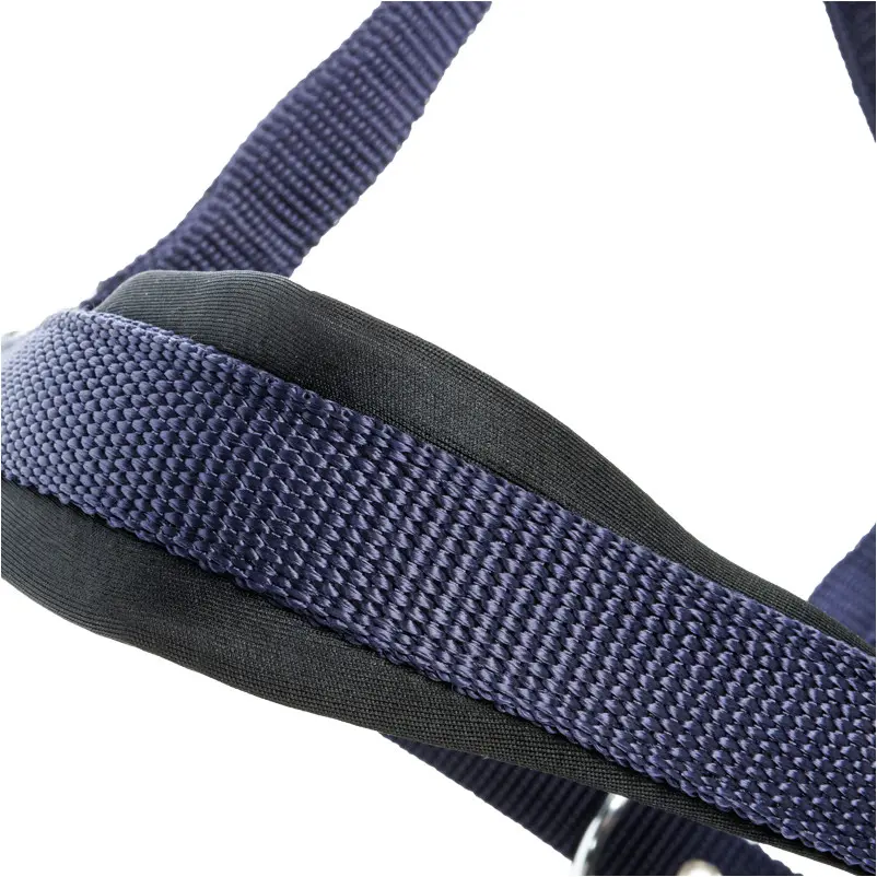 Halfter CLASSIC SIMPLE marine