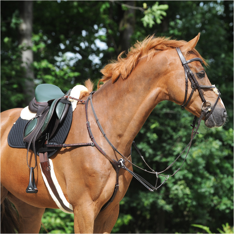 Ledersattelgurt geölt mit Kunstfell und Elast COMFORT braun/beige Ledersattelgurt geölt mit Kunstfell und Elast COMFORT braun/beige