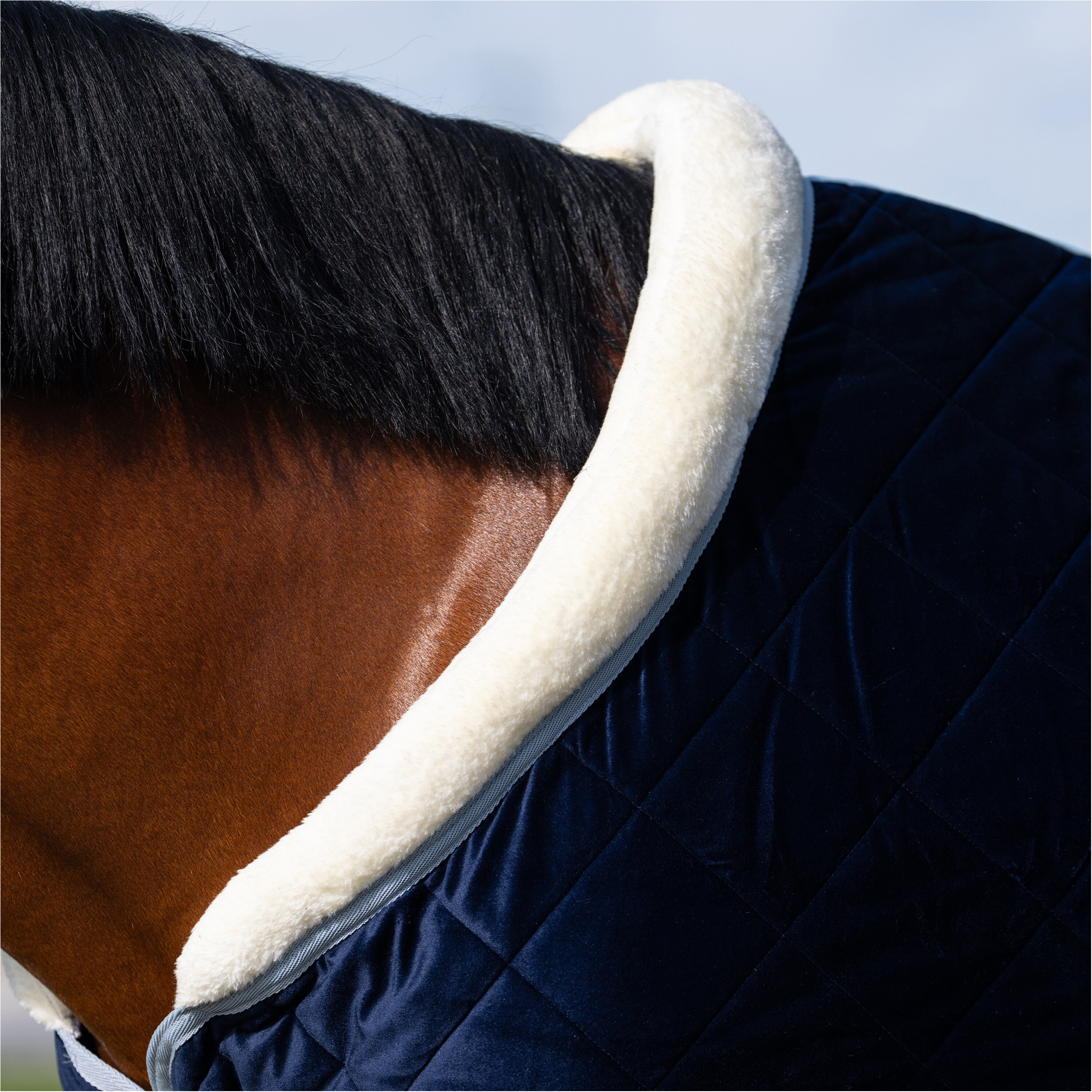 Stalldecke 420D HVPSasha navy