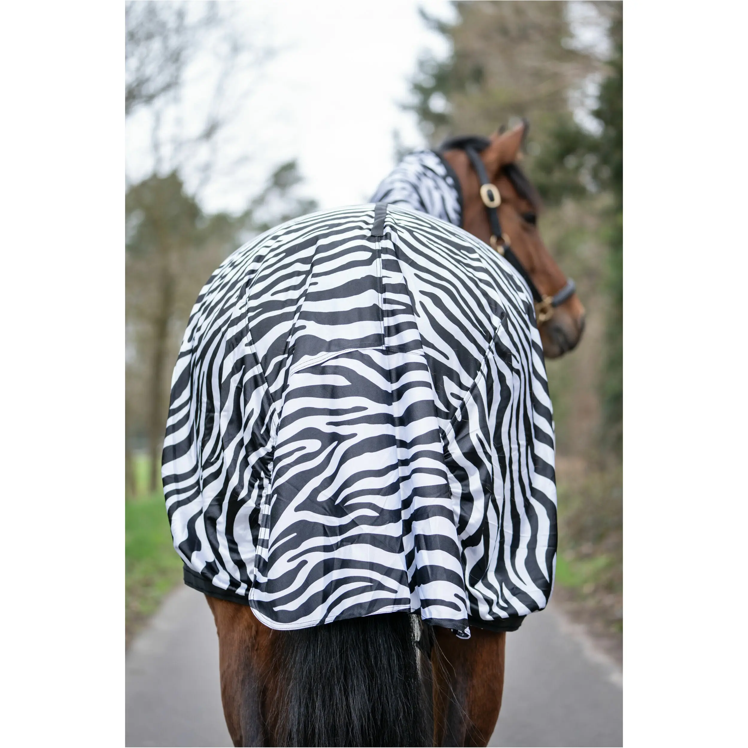 Ekzemerdecke ZEBRA weiß/schwarz