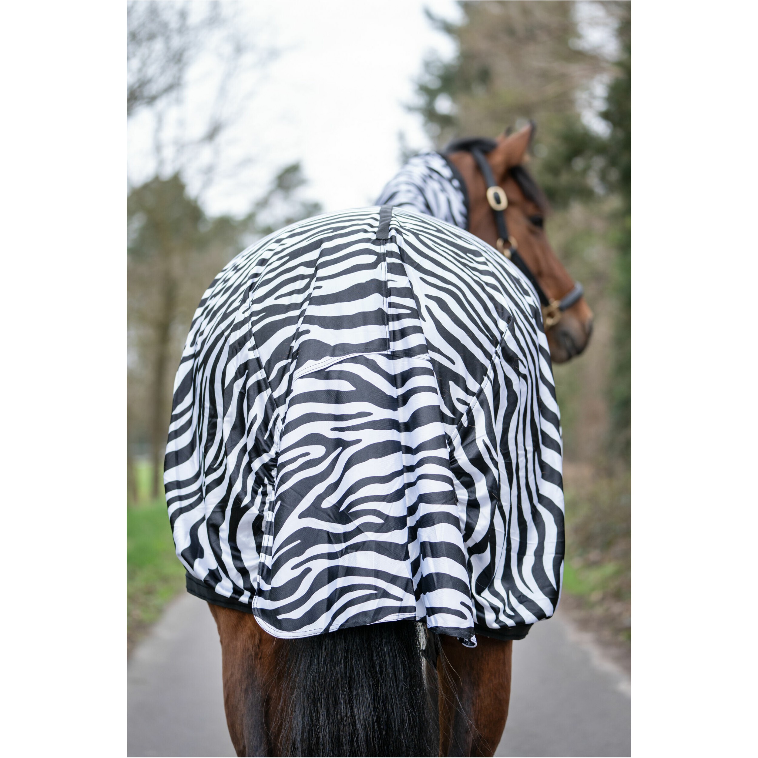 Ekzemerdecke ZEBRA weiß/schwarz