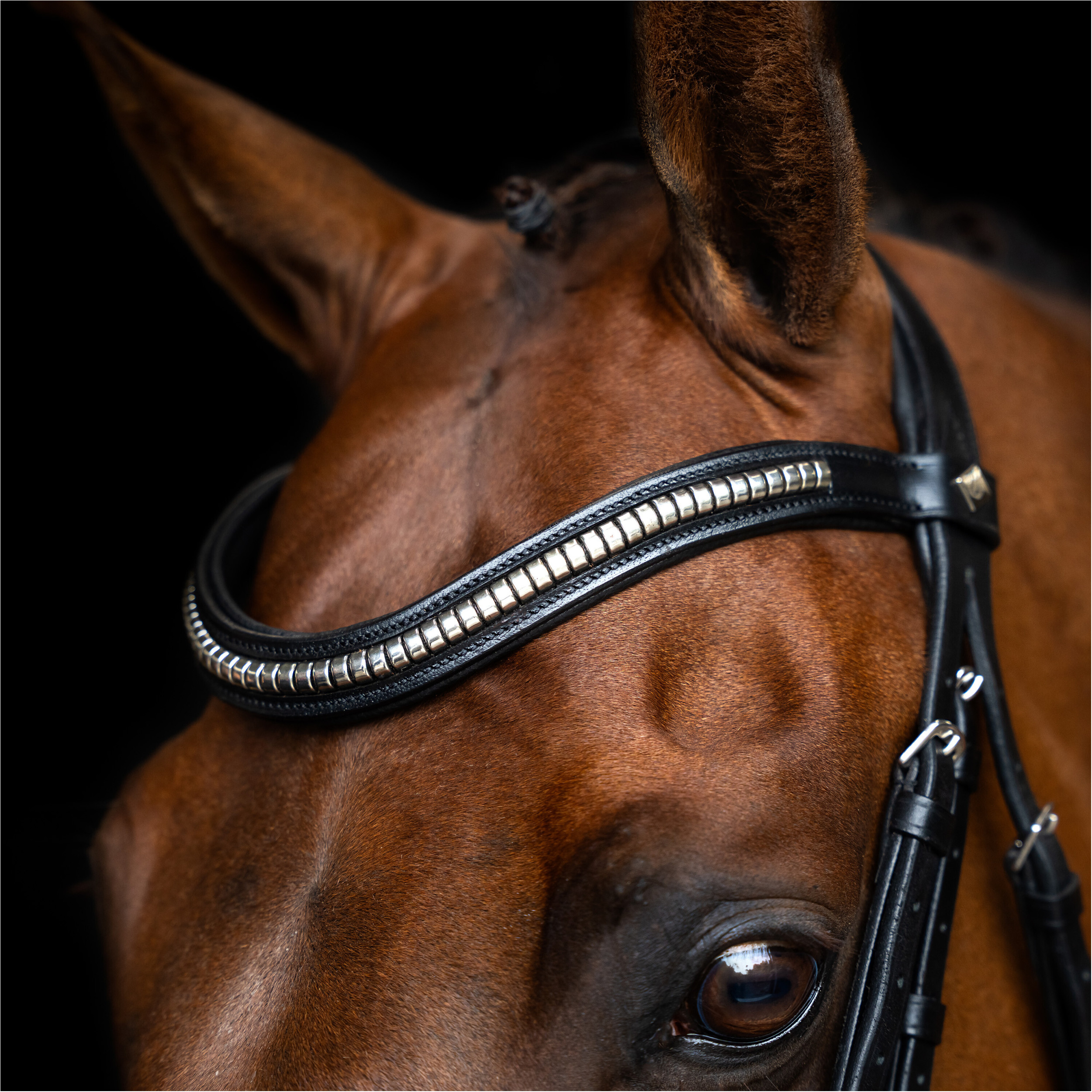 Mexikanisches Zaumzeug IRH schwarz