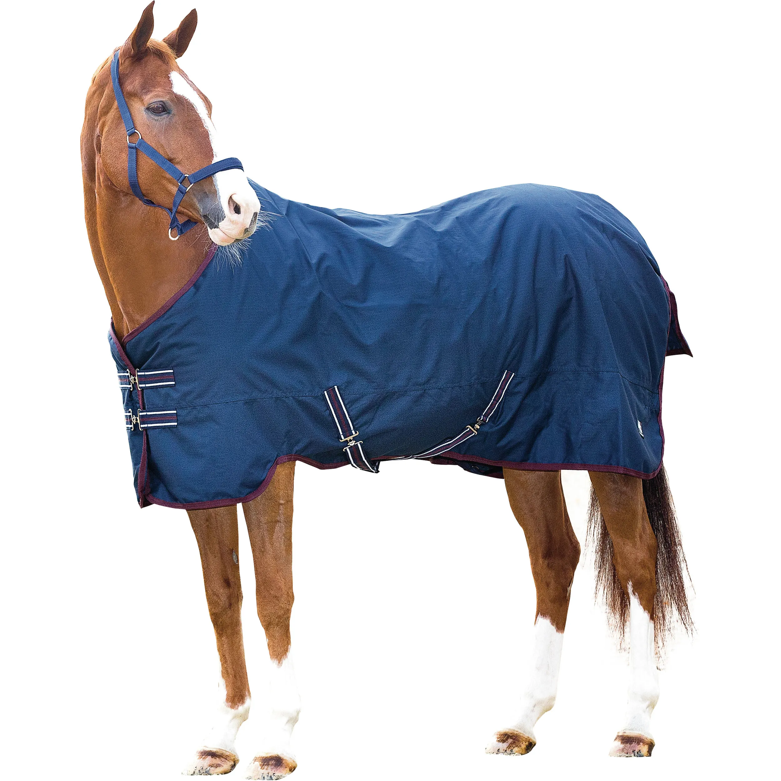 Outdoordecke TURNOUT 200g Füllung 600D blau