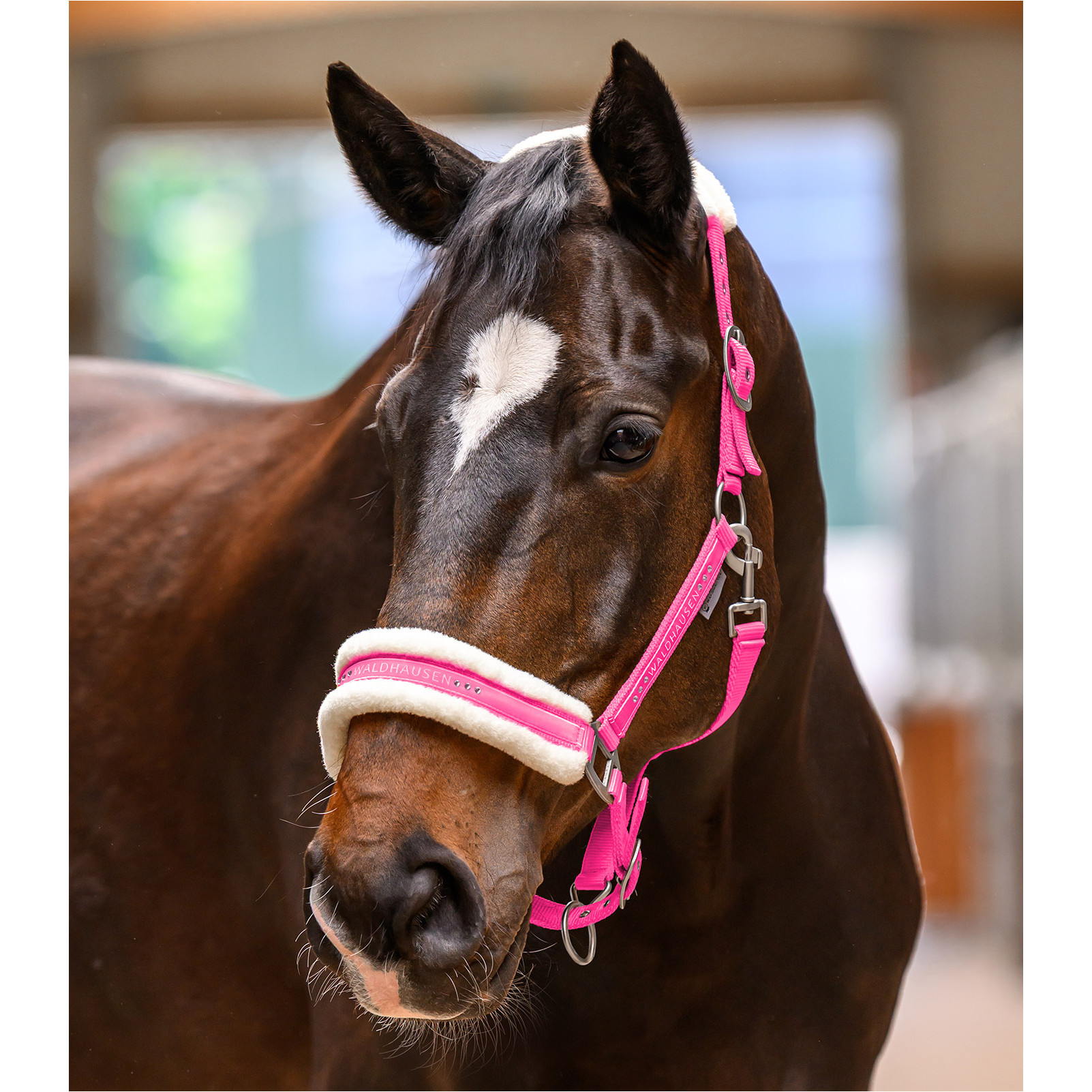 Halfter ELEGANT pink