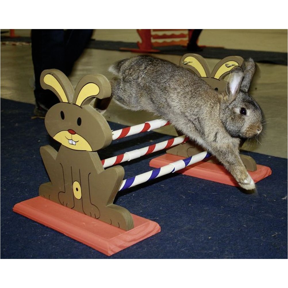 Agility Nagerhürde 62x33x34cm