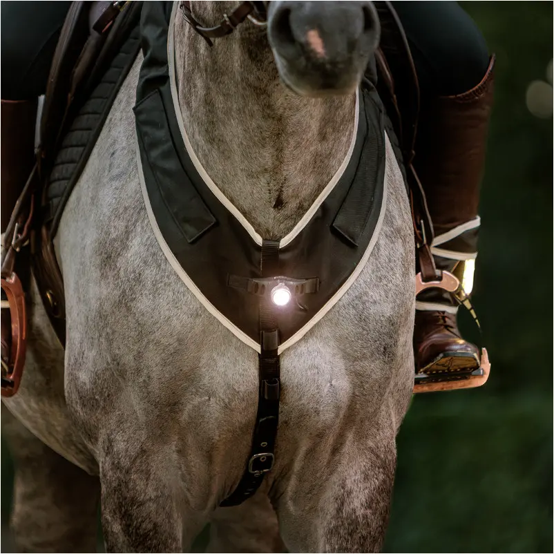 Vorderzeug mit weißer Frontleuchte HORSELIGHT schwarz/grau