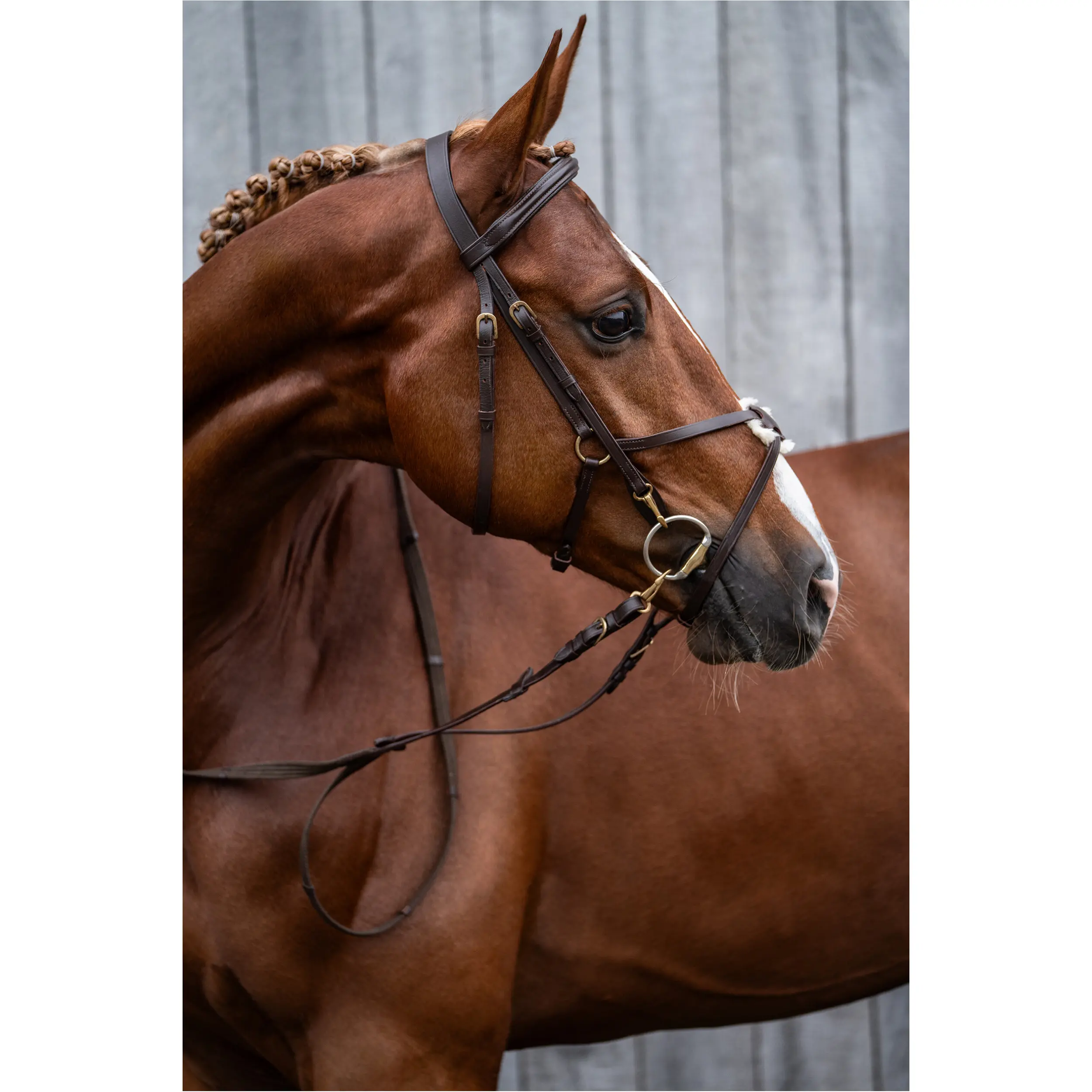Trensenzaum mit mexikanischem Reithalfter MEXICAN STYLE braun