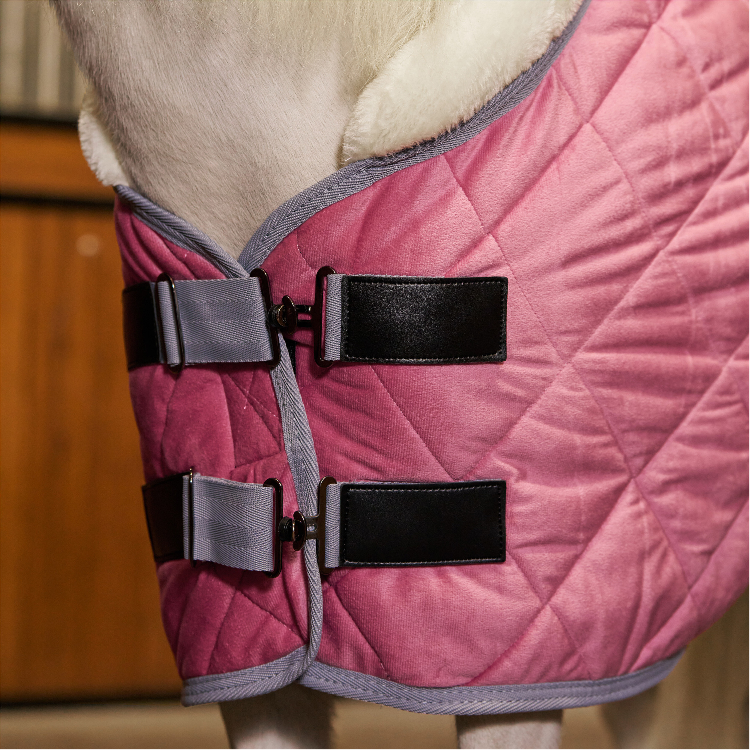 Stalldecke 420D HVPSacha think pink Stalldecke 420D HVPSacha think pink