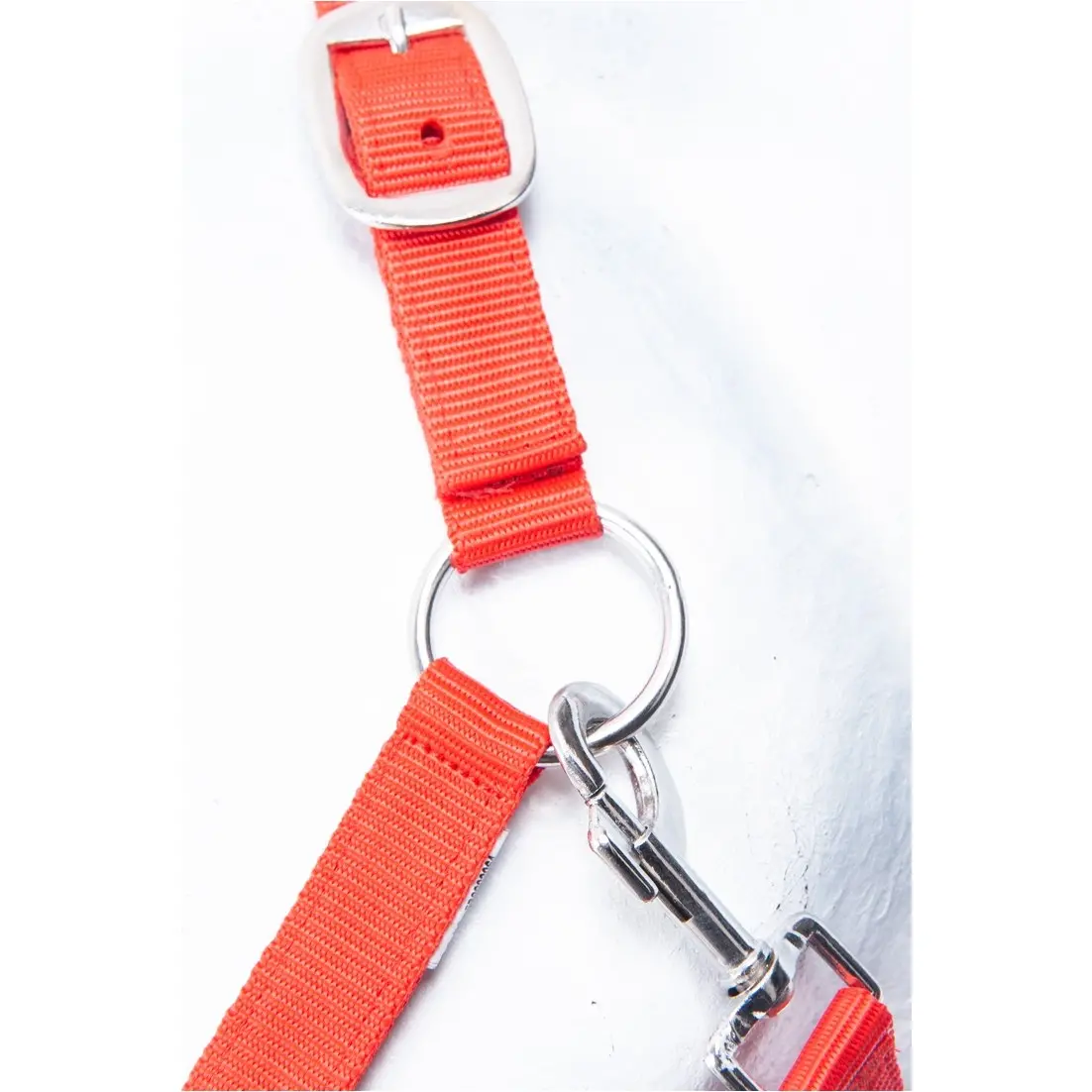 Halfter INNSBRUCK rot Halfter INNSBRUCK rot