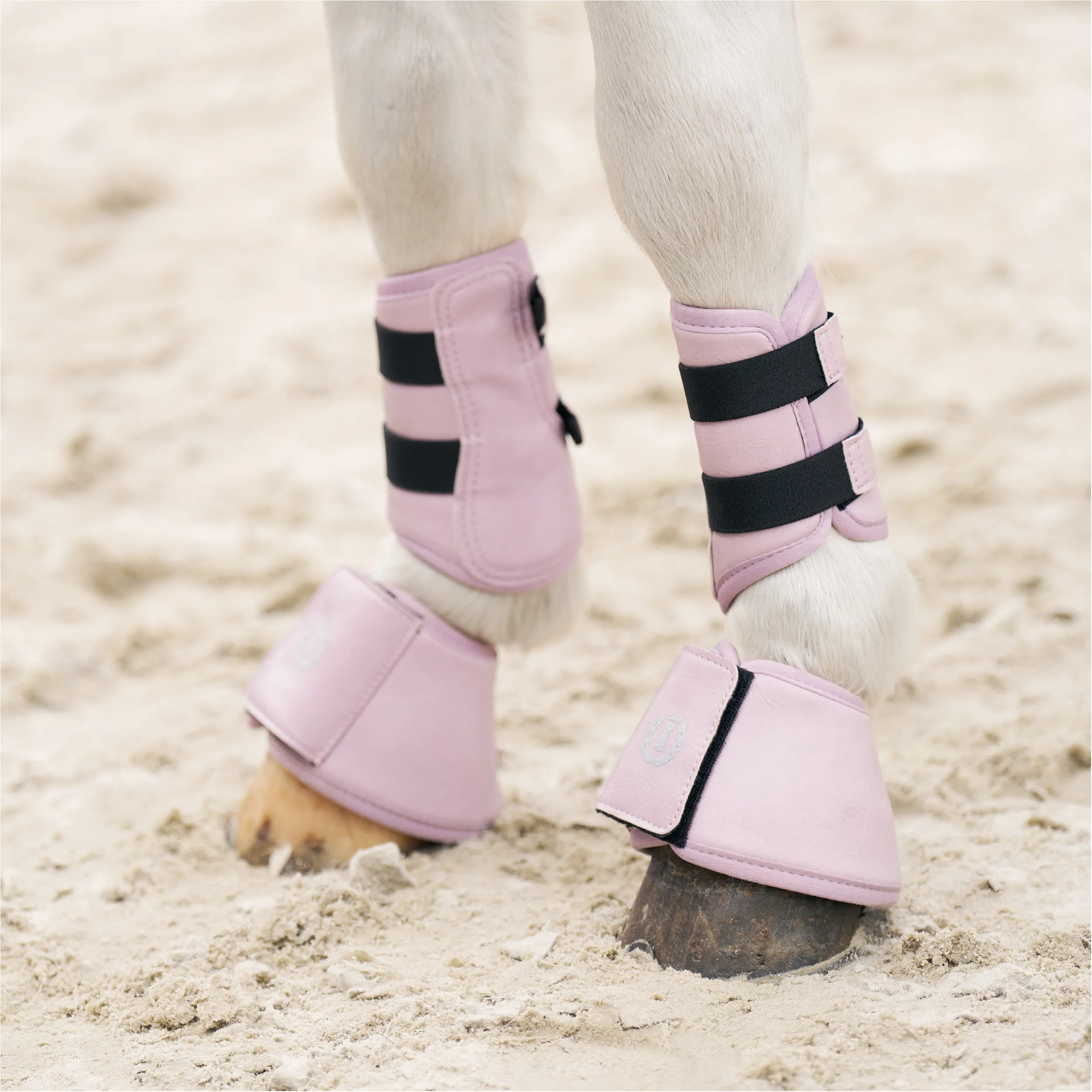 Hufglocken IRHRebel ballerina