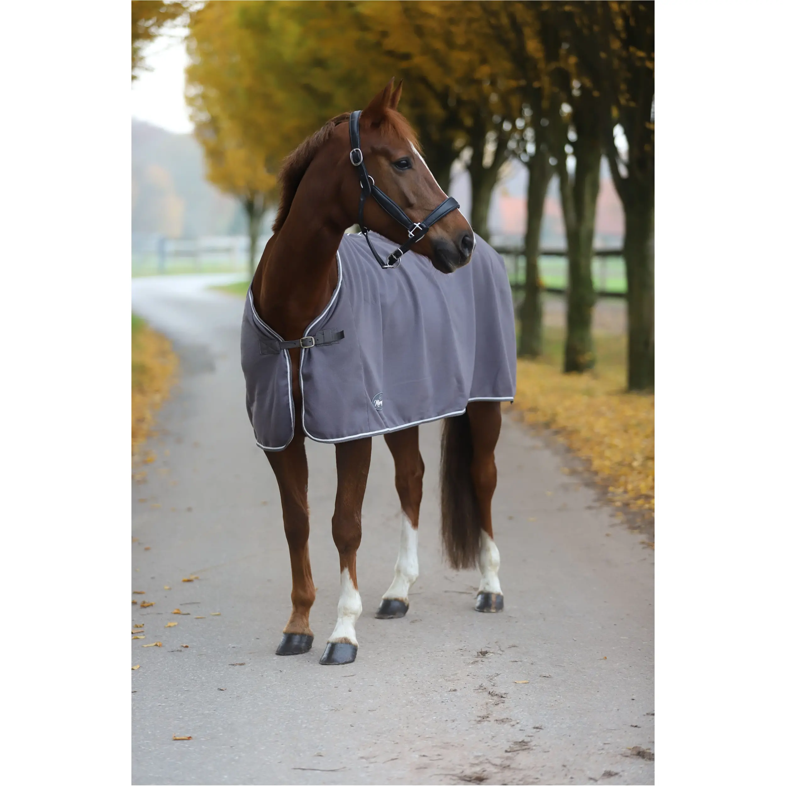 Abschwitzdecke ECONOMIC grau