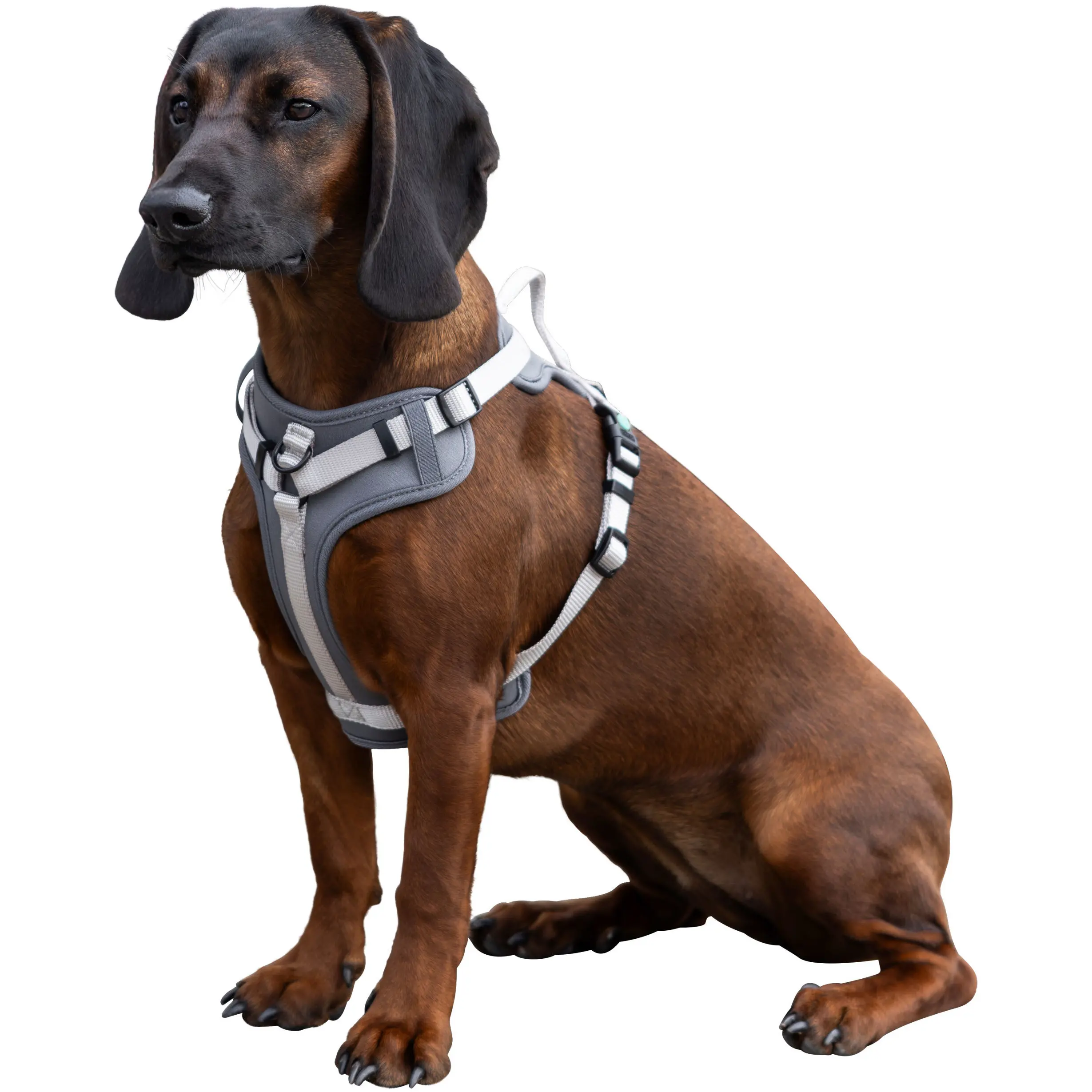 Hundegeschirr FITTY grau/beige 30-50cm