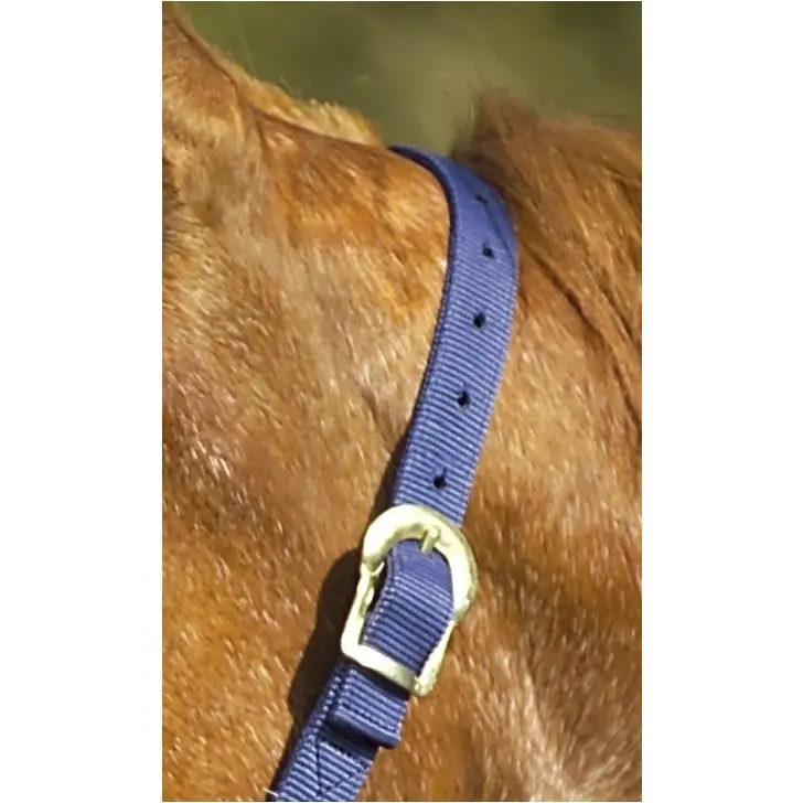 Nylonhalfter doppelt gelegt mit Schnallen marineblau
