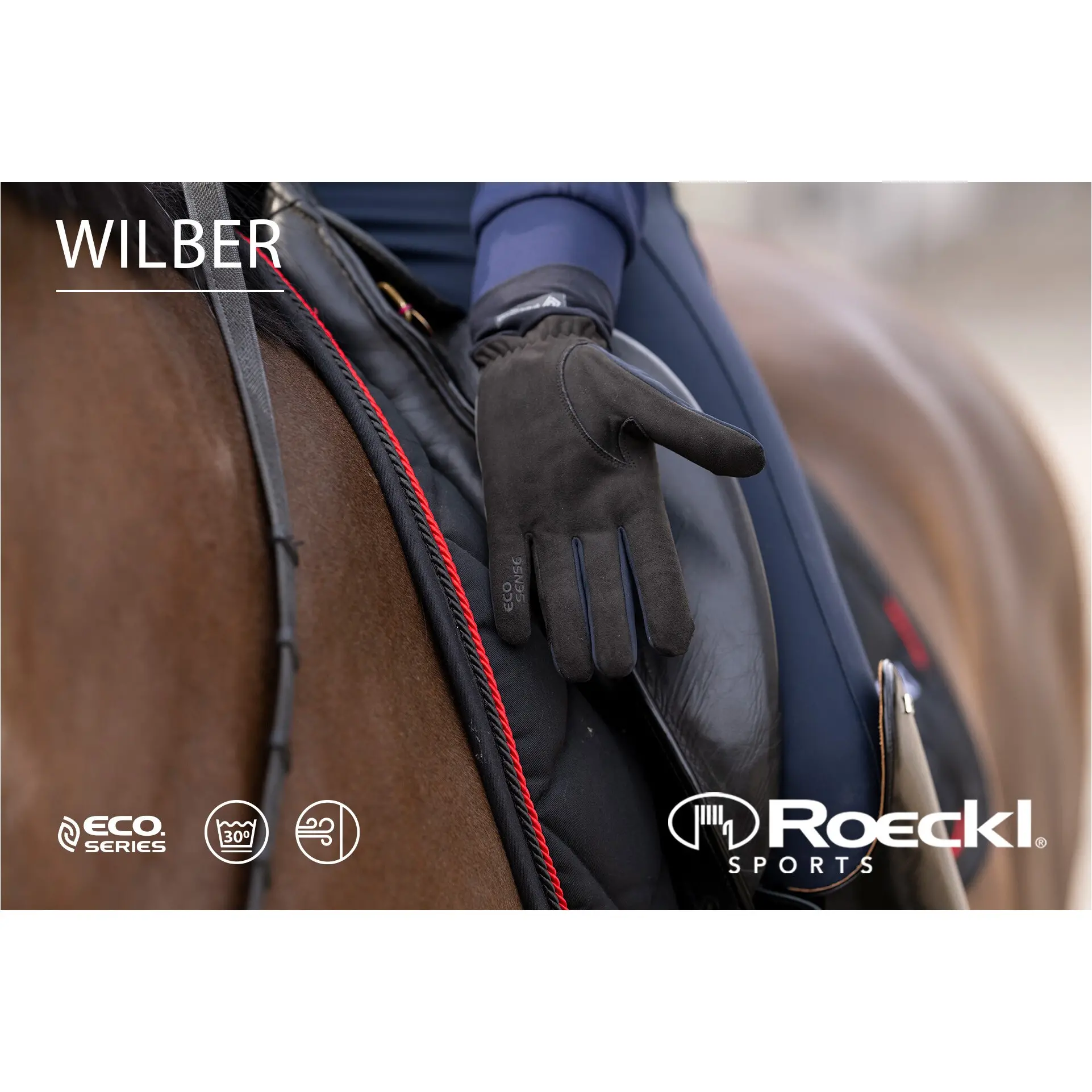 Winter Reithandschuhe WILBER schwarz