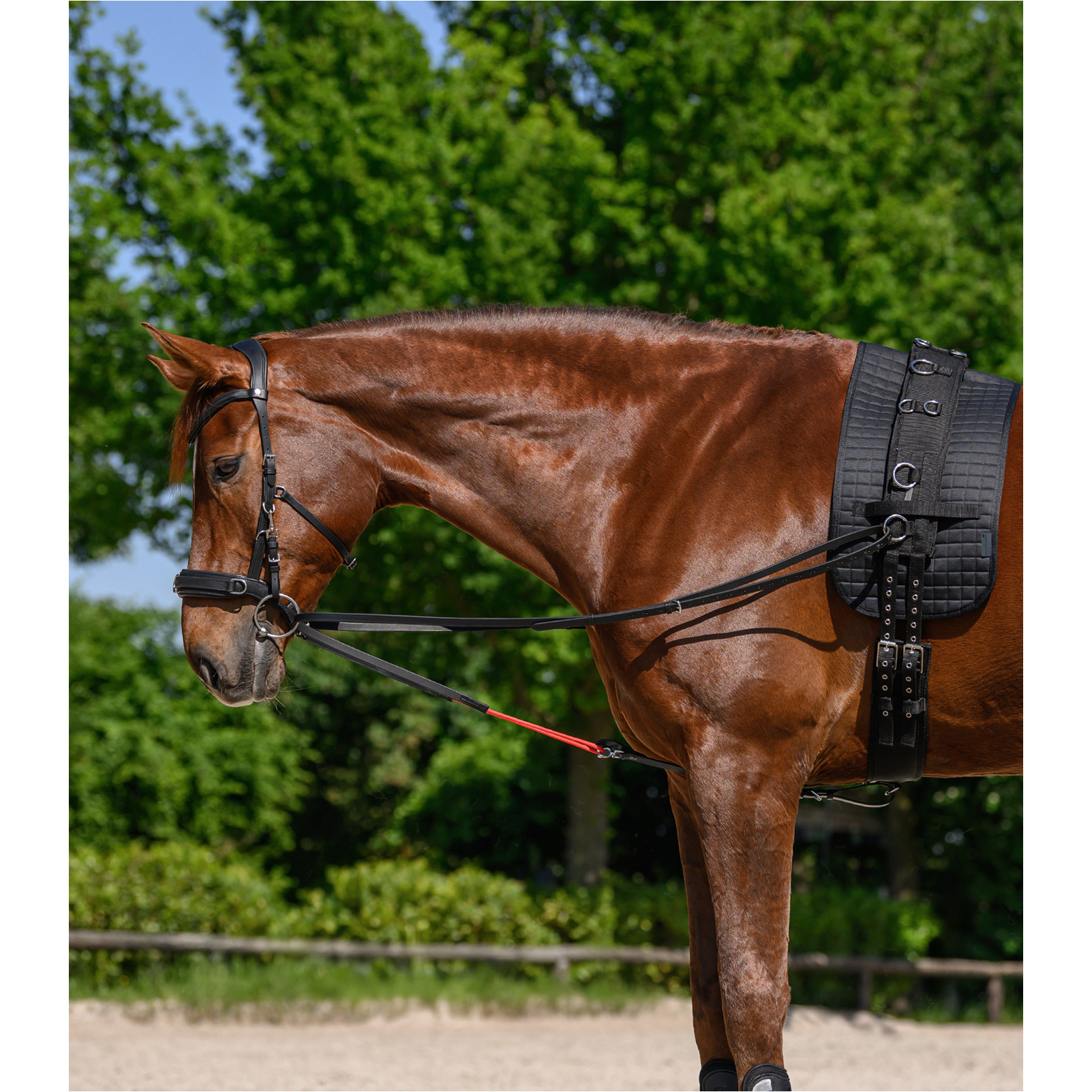 Longiergurt Unterlage schwarz