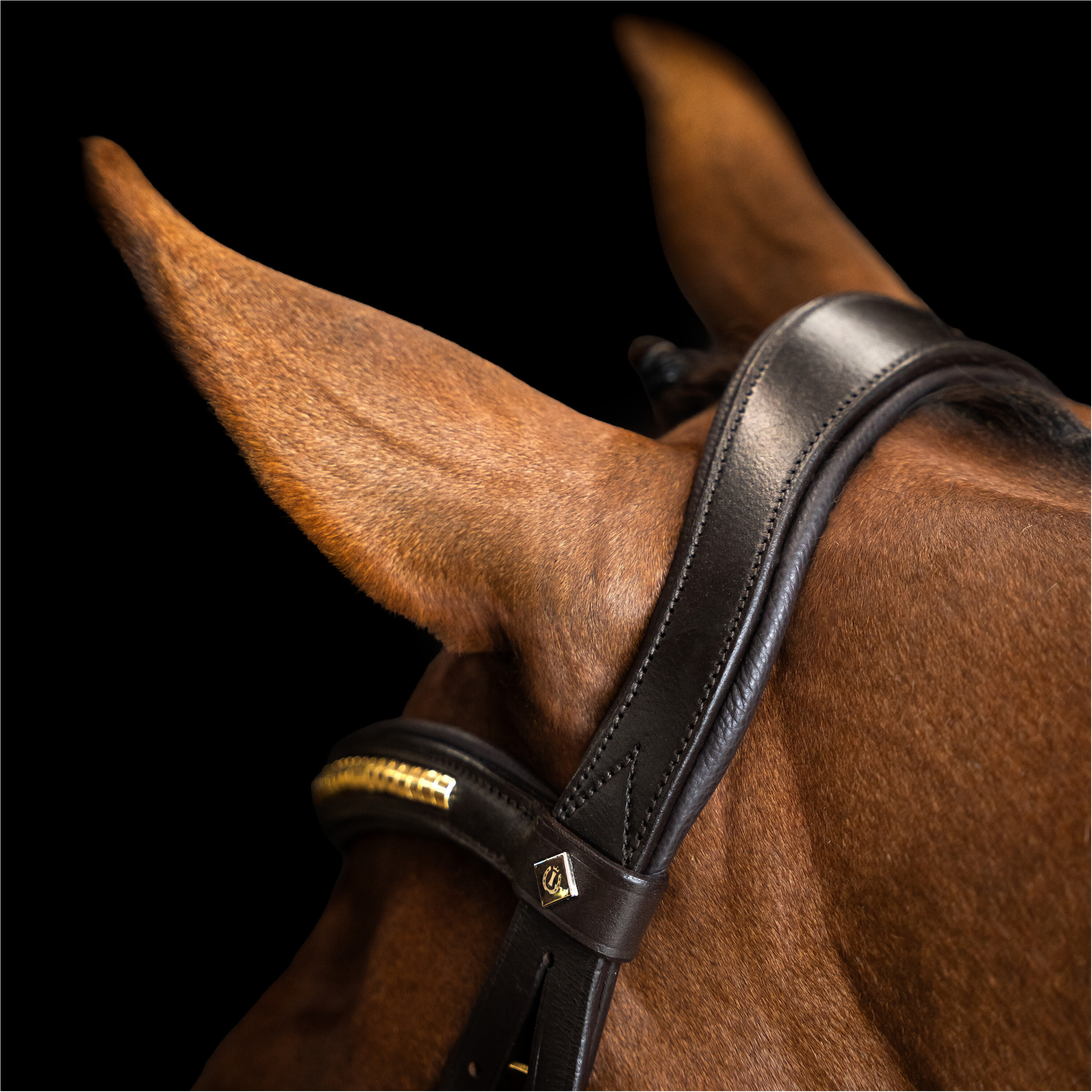 Mexikanisches Zaumzeug IRH dunkelbraun