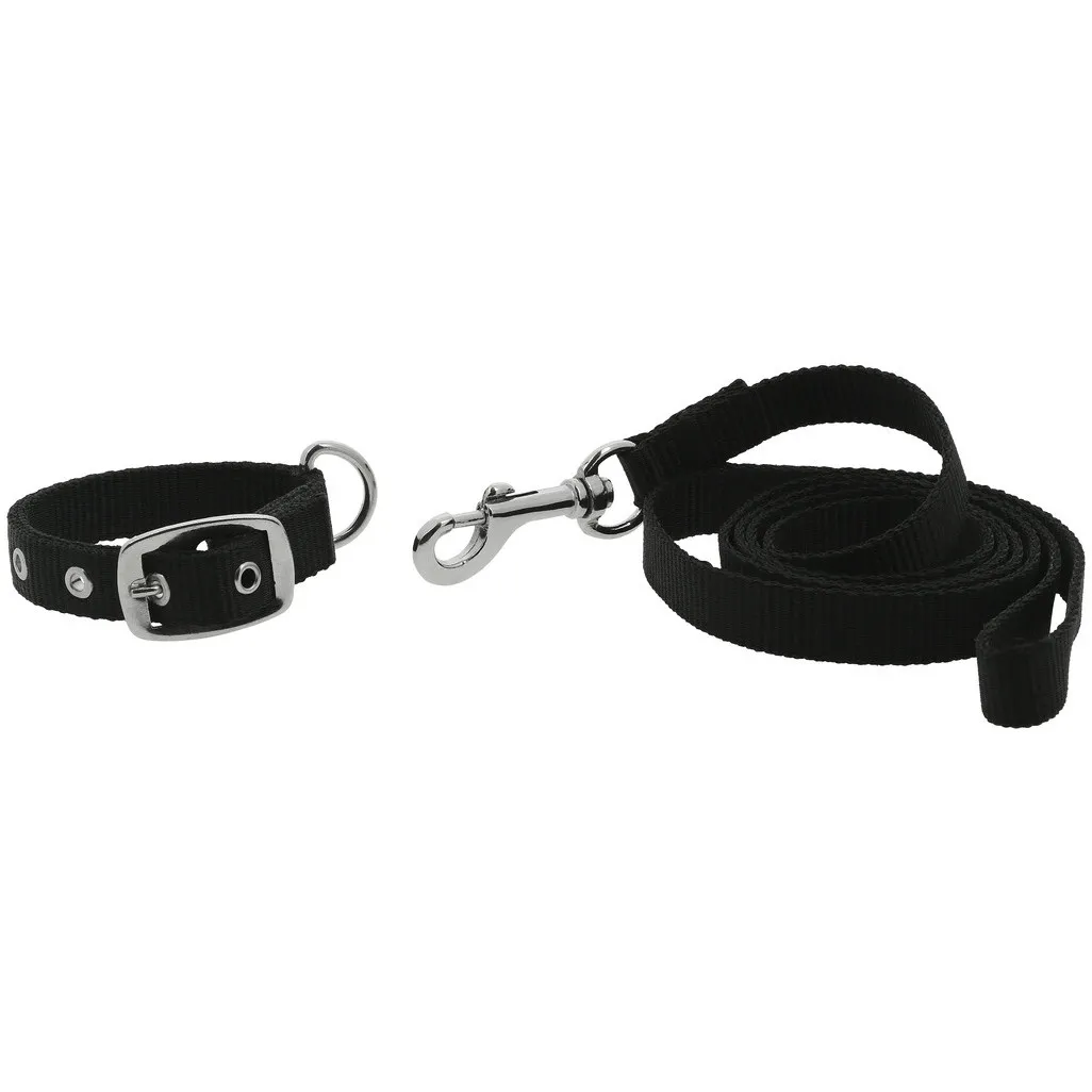 Hundehalsband und Leine OSCAR schwarz