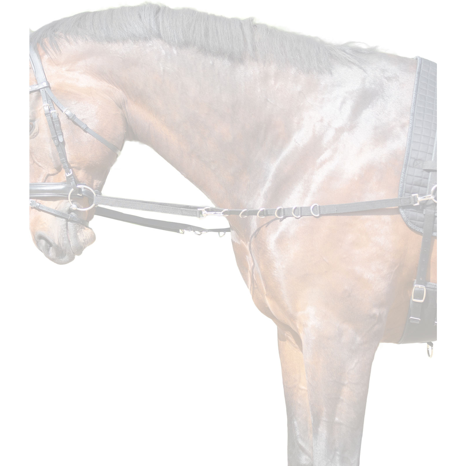 Ausbindezügel Nylon schwarz