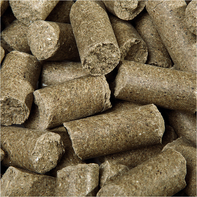 Leckerlies Delicious Speedies EUCALYPTUS