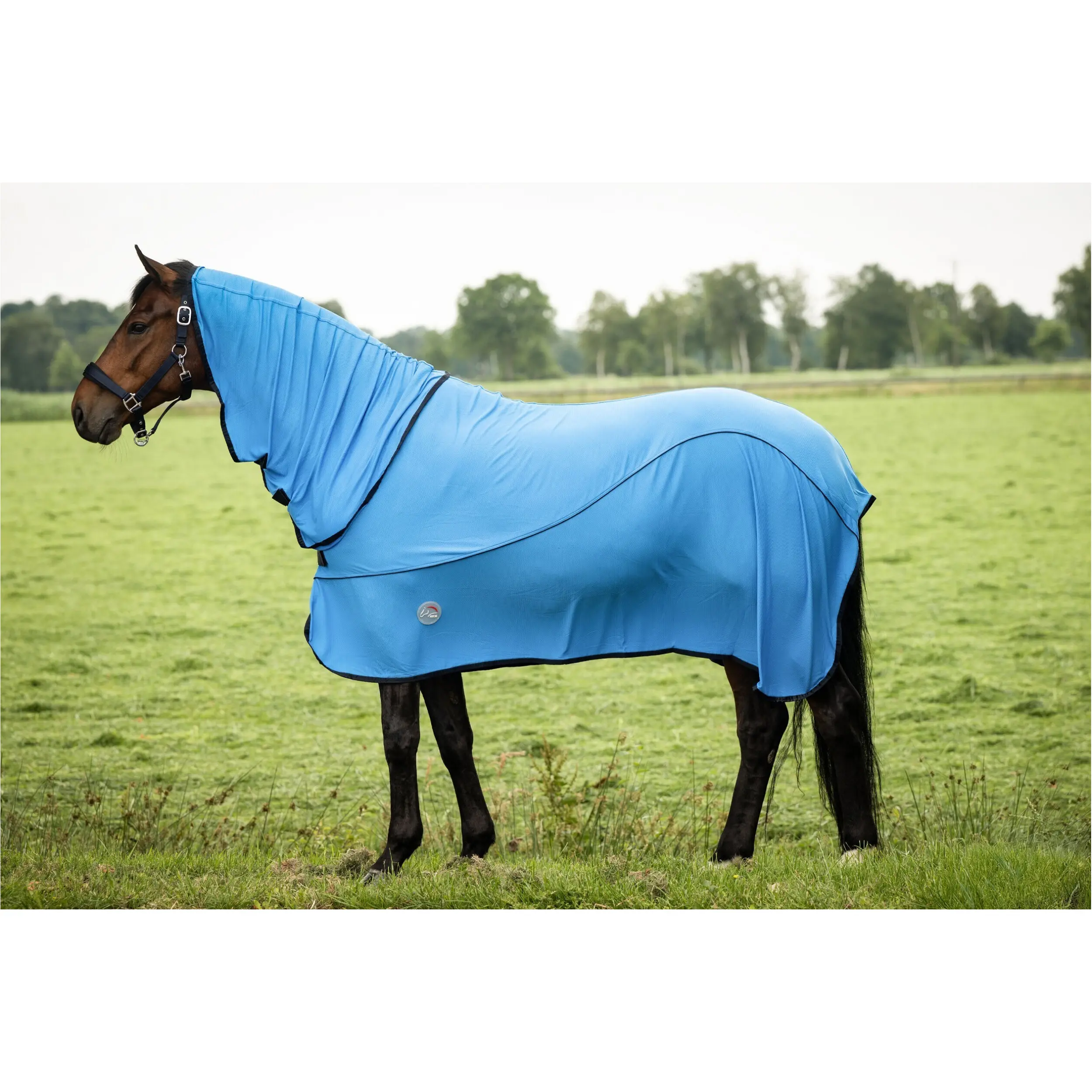 Kühldecke mit abnehmbarem Halsteil EquineCarePro aqua