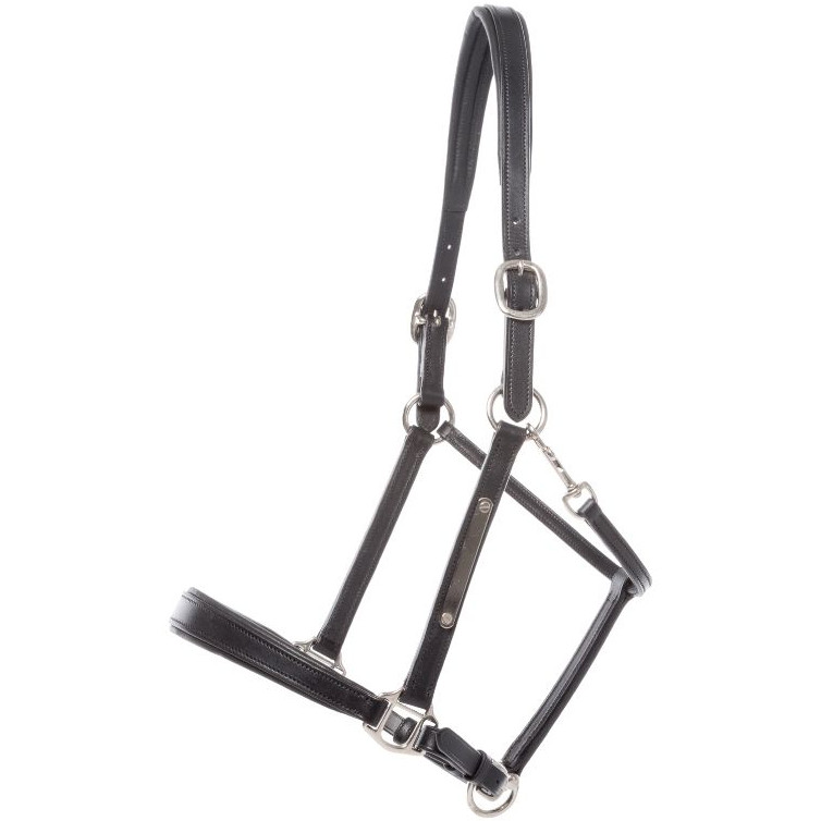 Lederhalfter BENNET schwarz/silber
