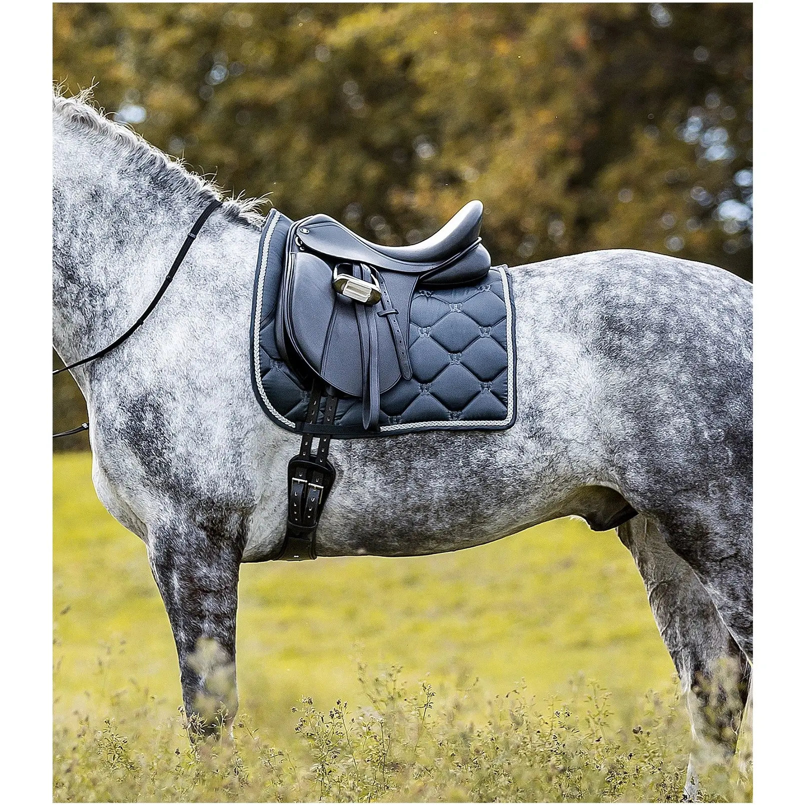 Schabracke VALENCIA nachtblau/silber Warmblut Dressur