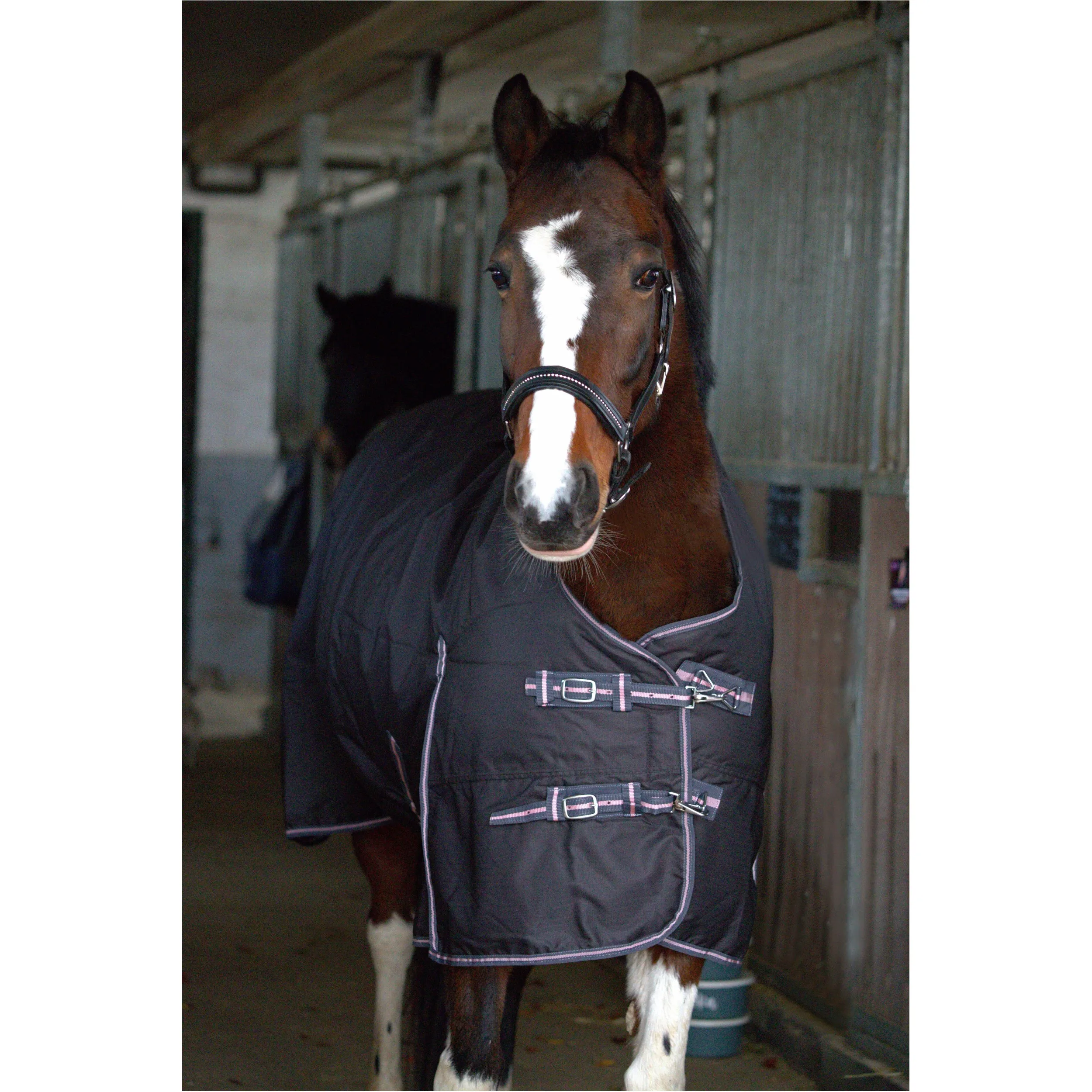 Winterdecke High Neck 200g Füllung 600D BASICLINE graphit/koralle
