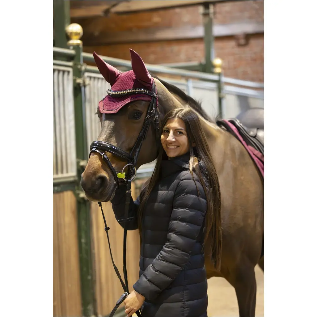 Fliegenhaube GALAXY bordeaux Fliegenhaube GALAXY bordeaux