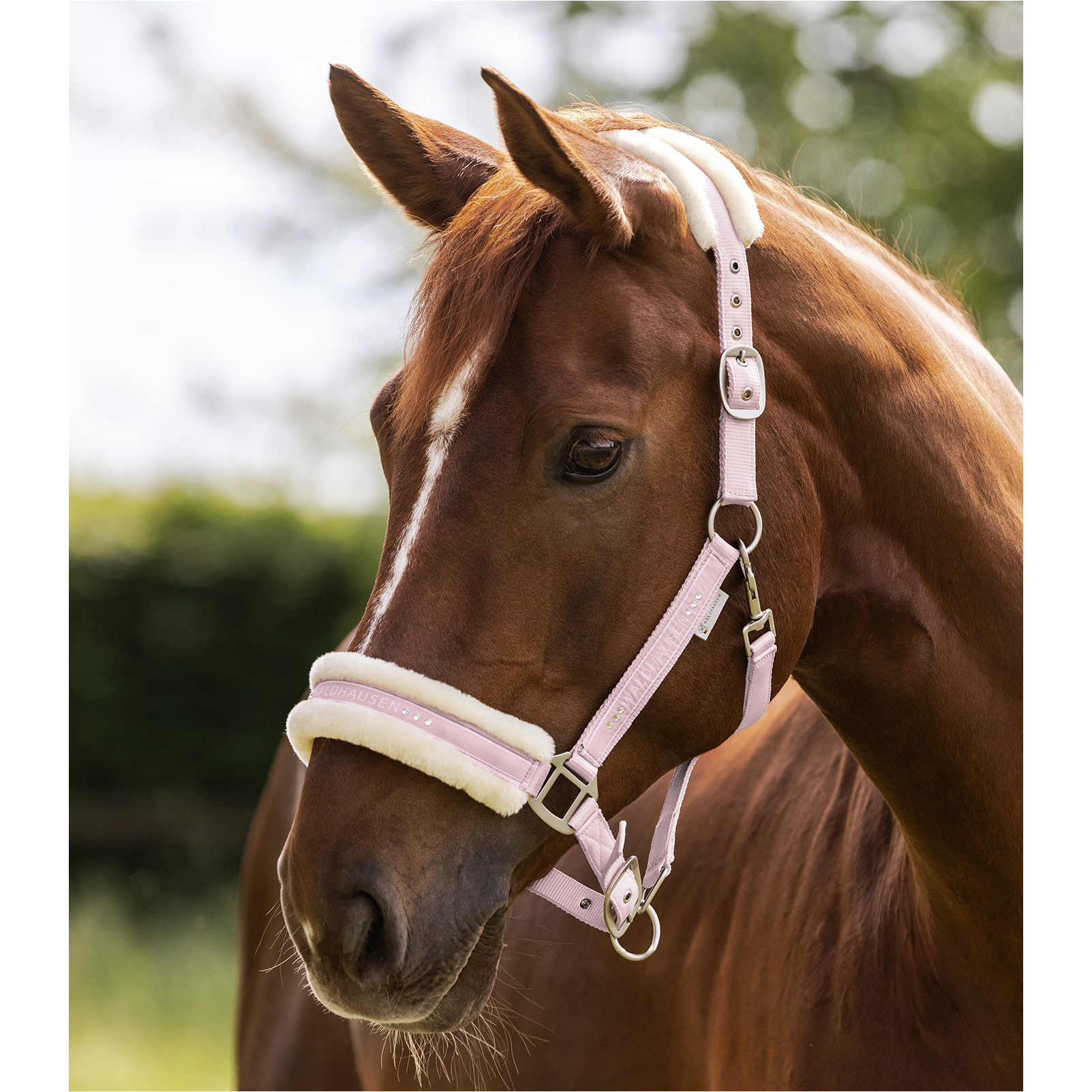 Halfter ELEGANT puderrosa