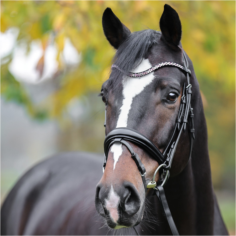 Stirnband SPARKLE schwarz/rosa