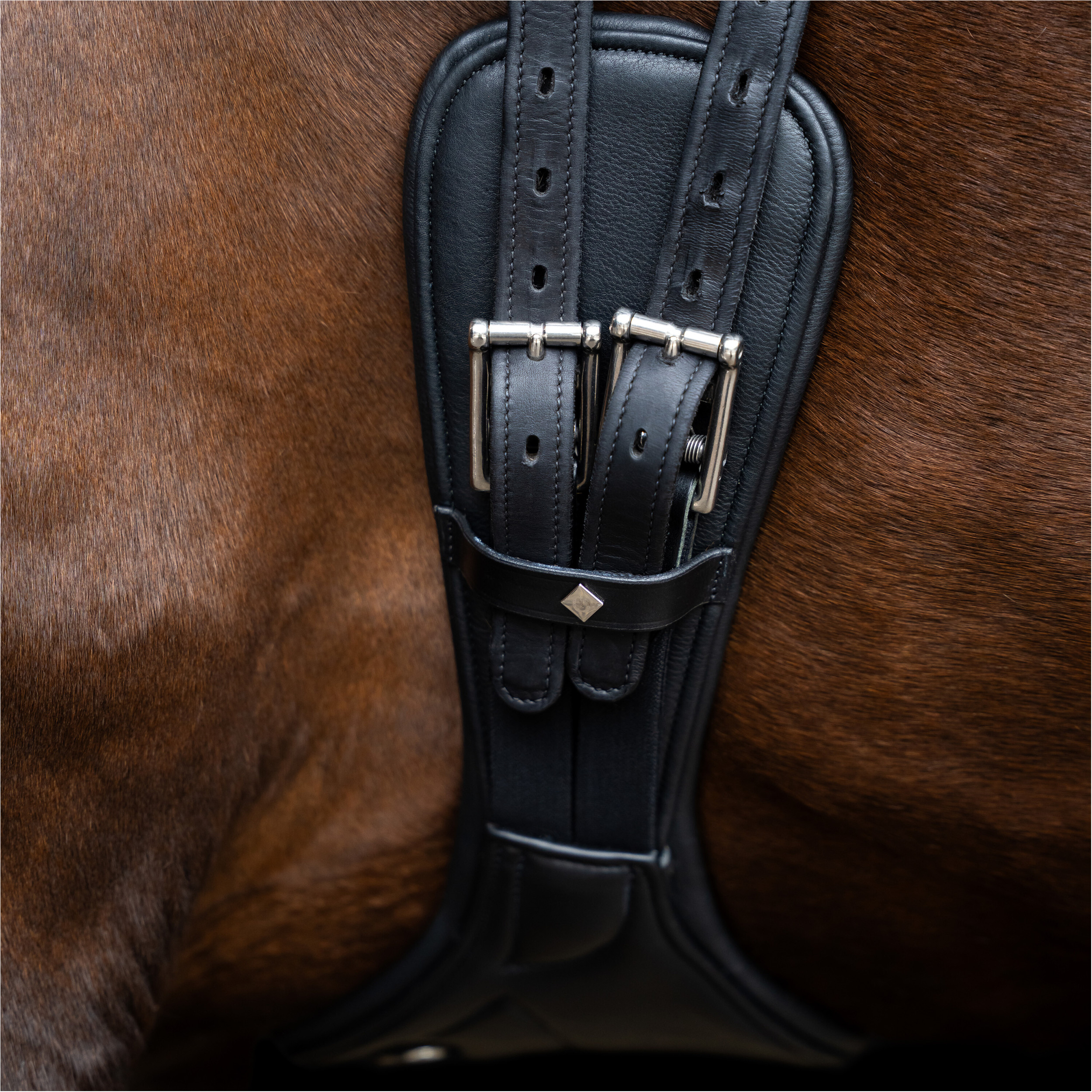 Dressurgurt IRH anatomisch mit Rollenschnallen schwarz