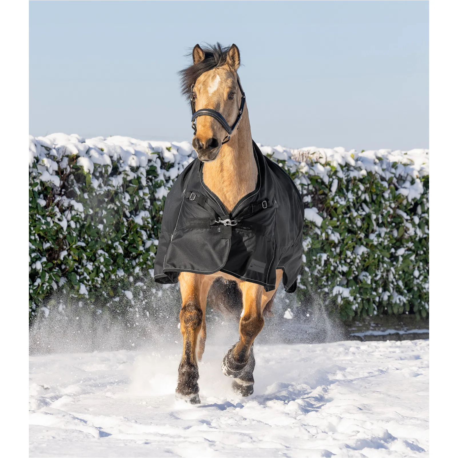 Outdoordecke High Neck Light 1200D SCANDIC schwarz