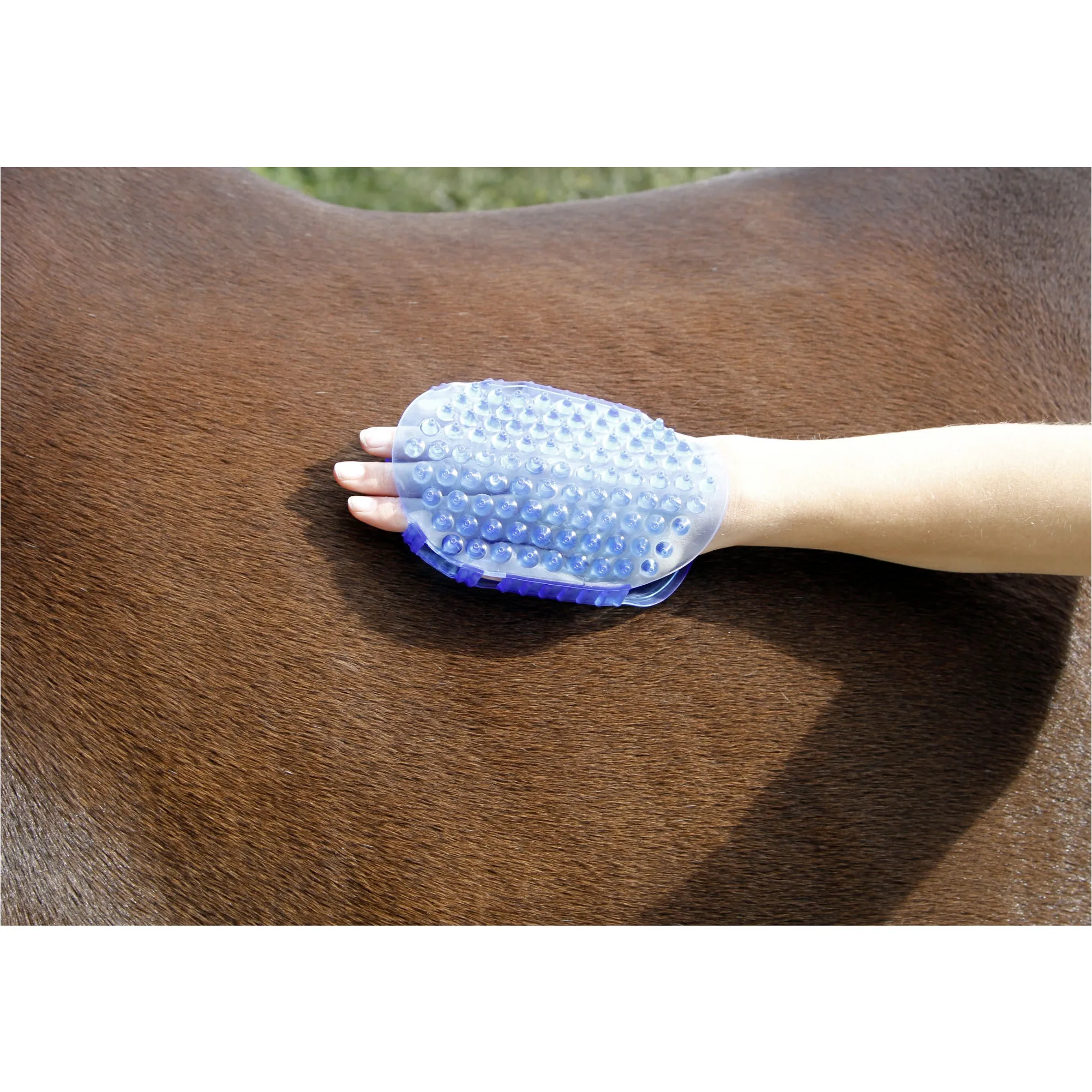 Massage- und Putzhandschuh royalblau