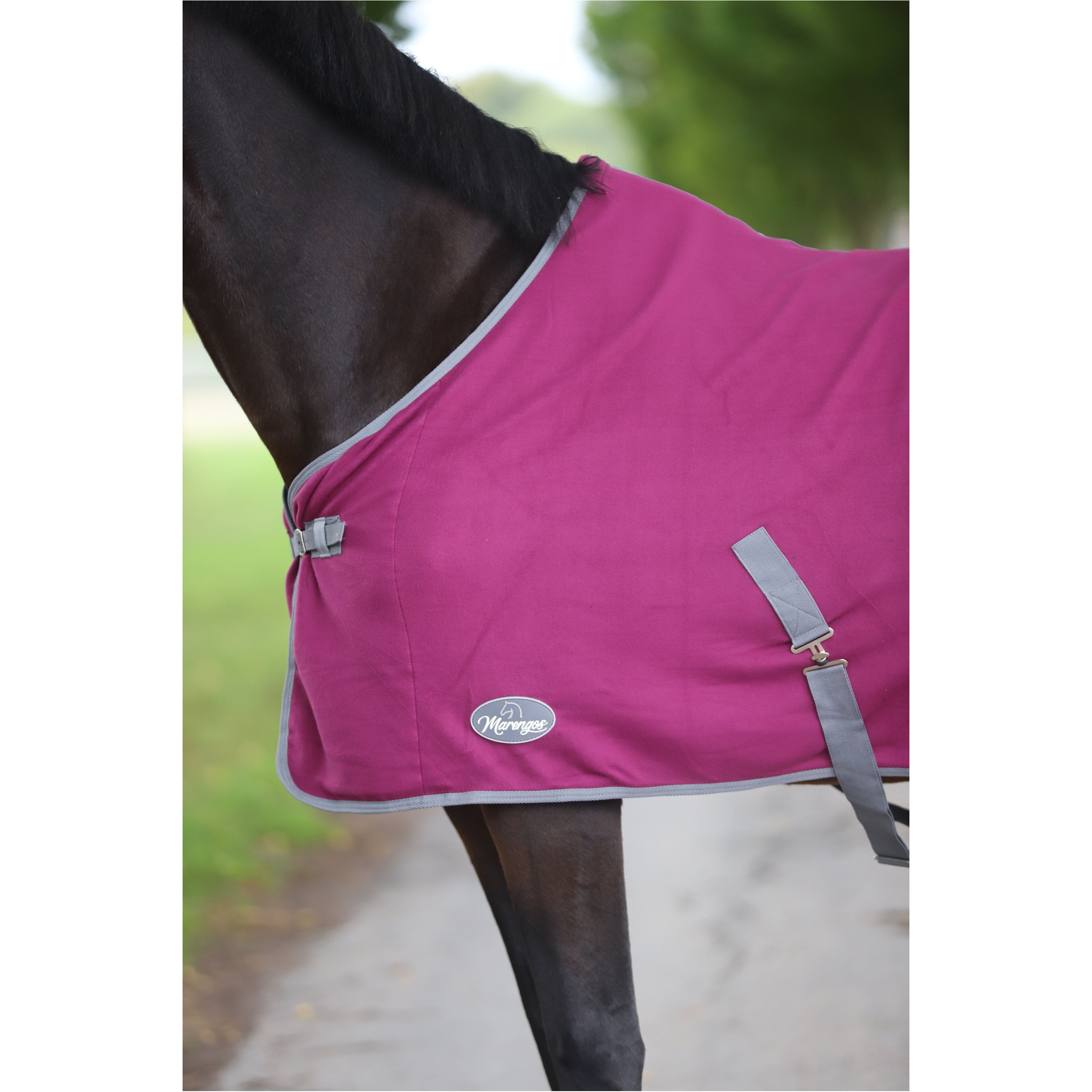 Abschwitzdecke mit Kreuzgurt (abnehmbar) ECONOMIC violett Abschwitzdecke mit Kreuzgurt (abnehmbar) ECONOMIC violett