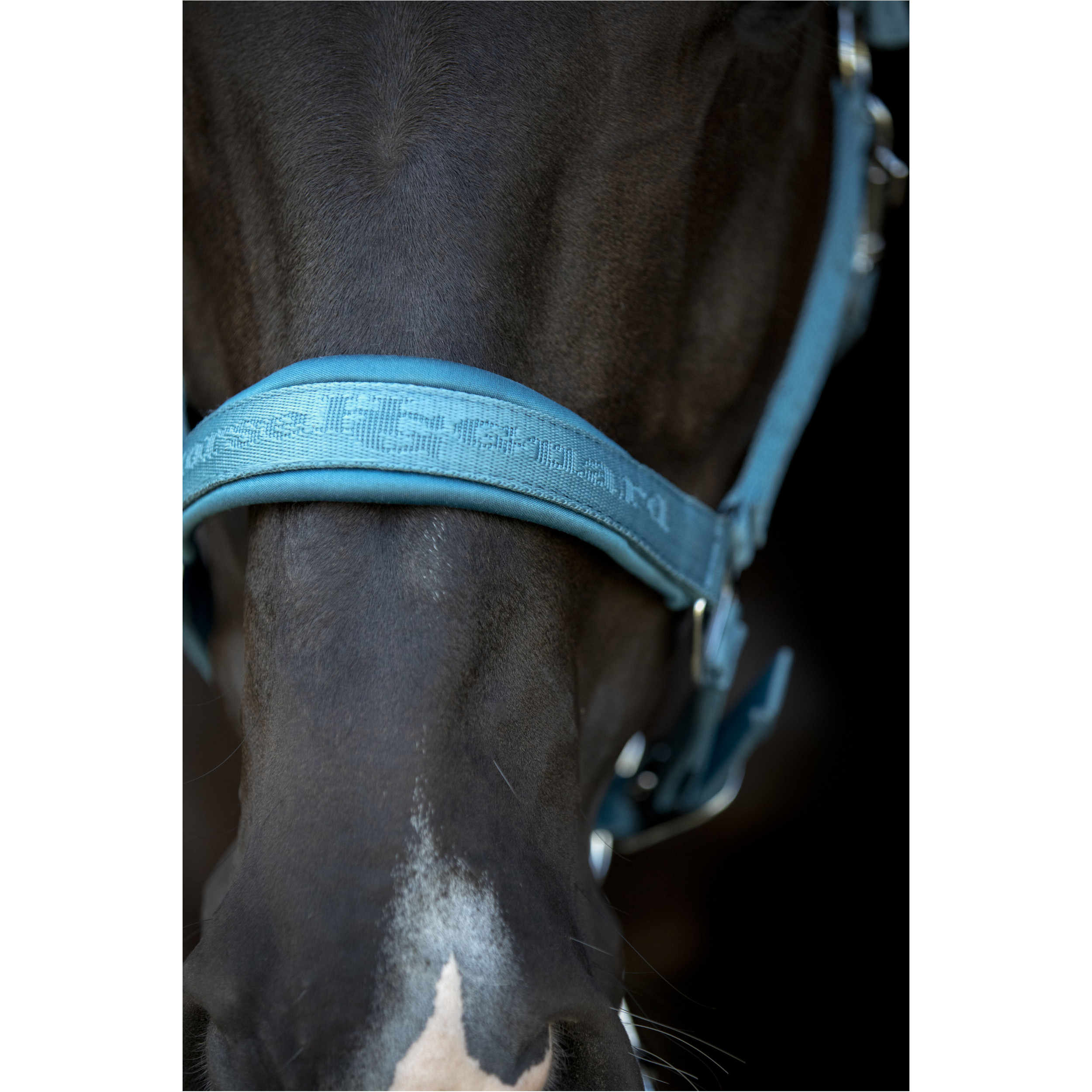 Halfter DIYA 2.0 arctic